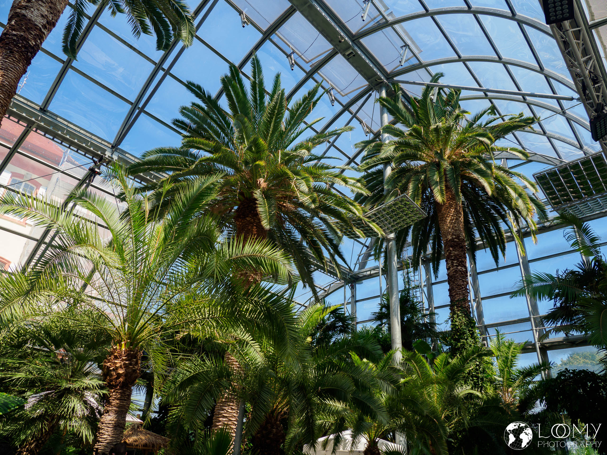Palmenhaus