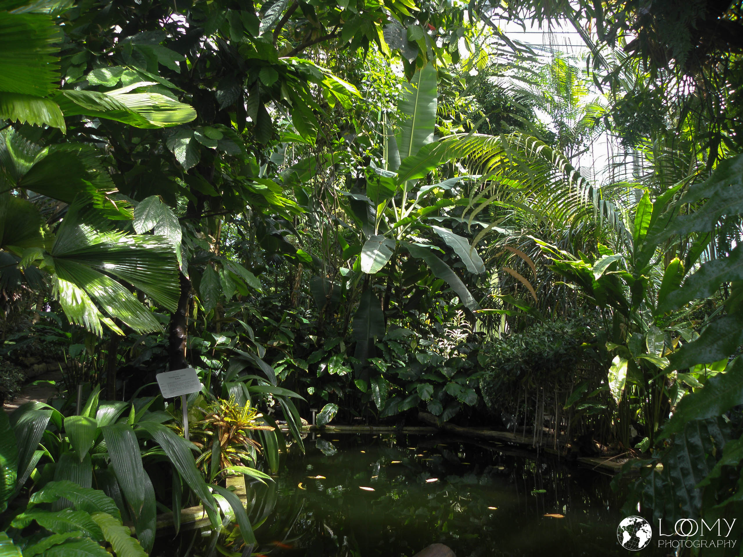 Planten un Blomen