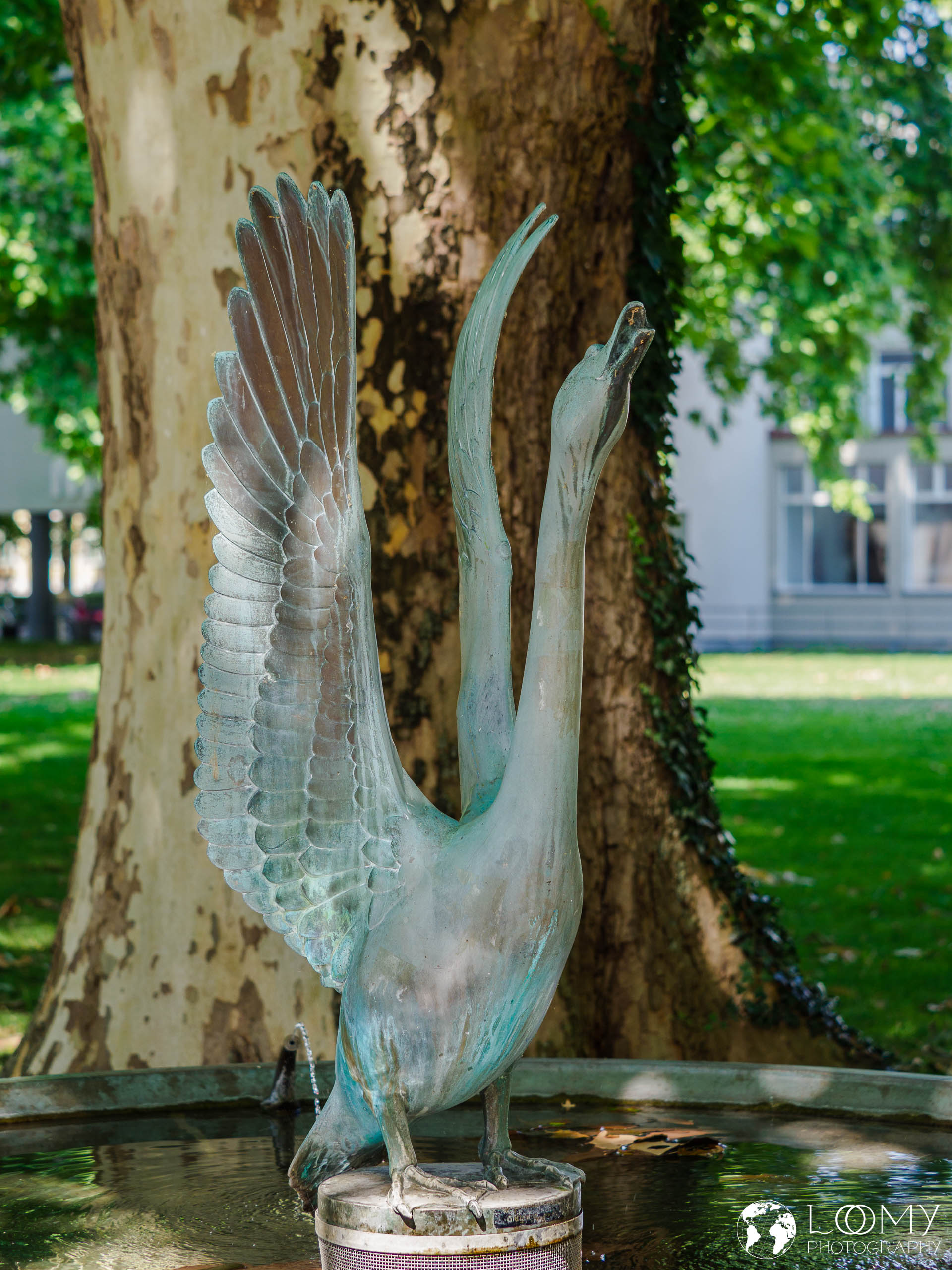 Brunnen mit Schwan