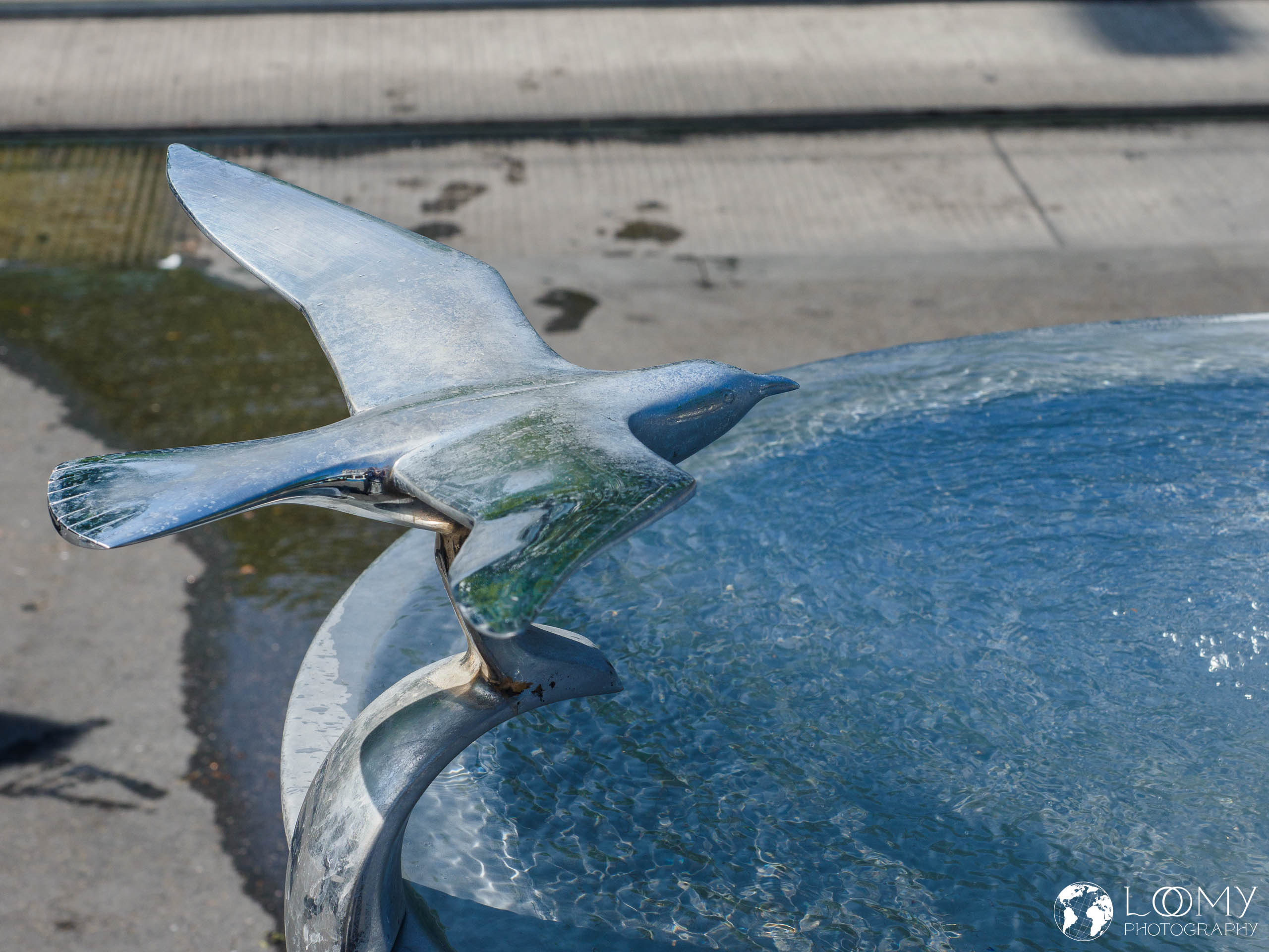 Brunnen mit Möve