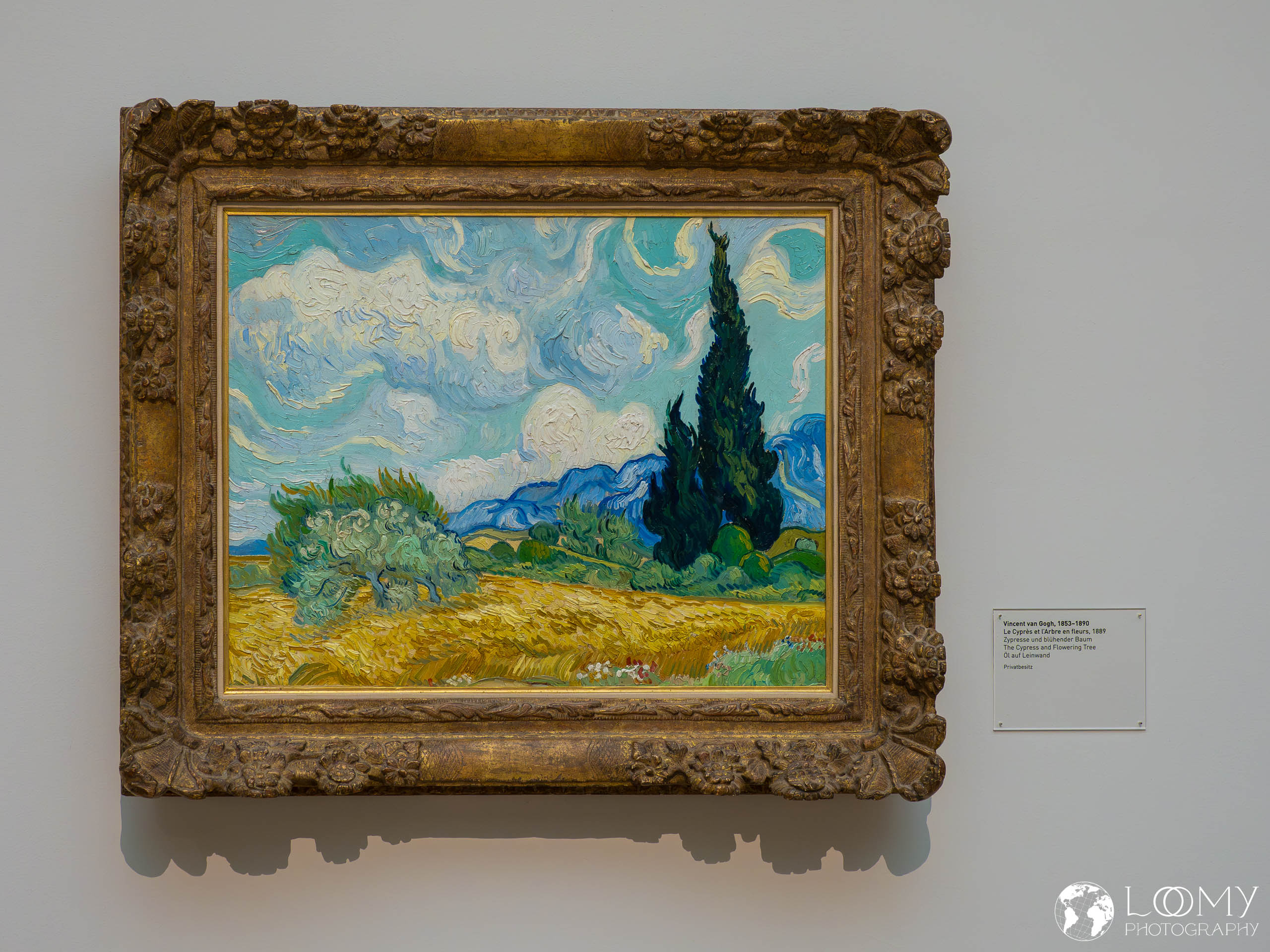 Zypresse und blühender Baum