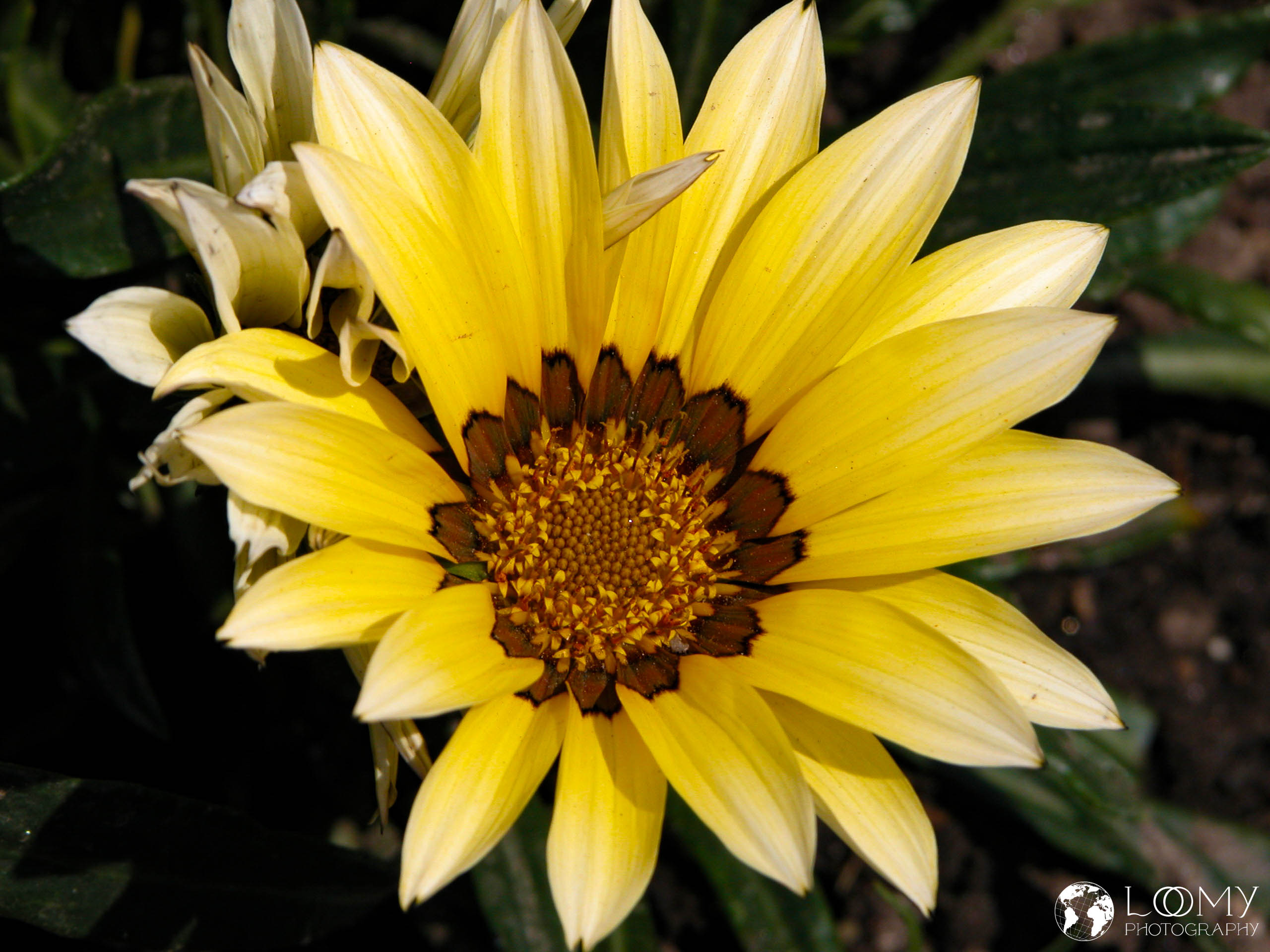 Botanischer Garten