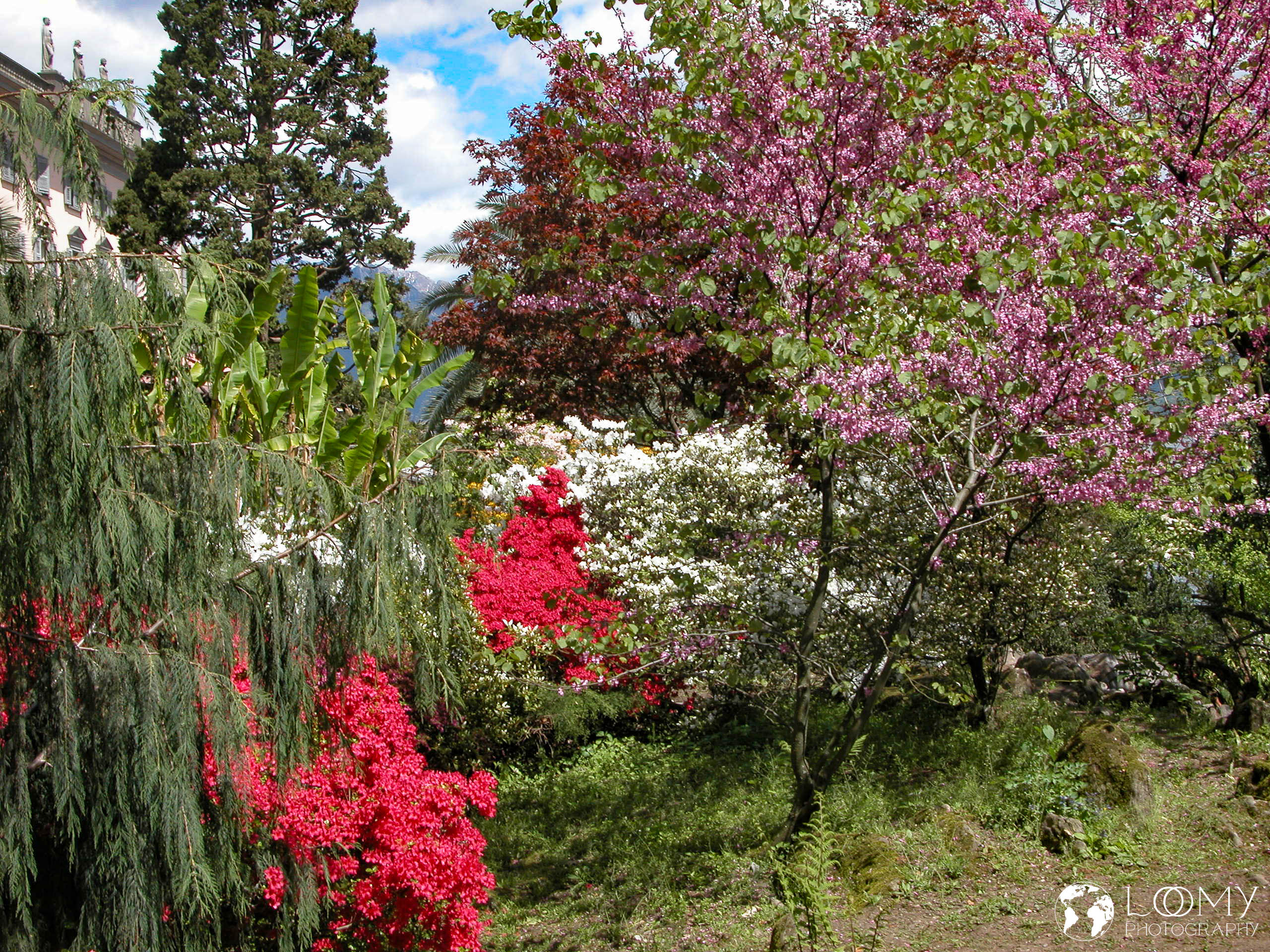 Botanischer Garten