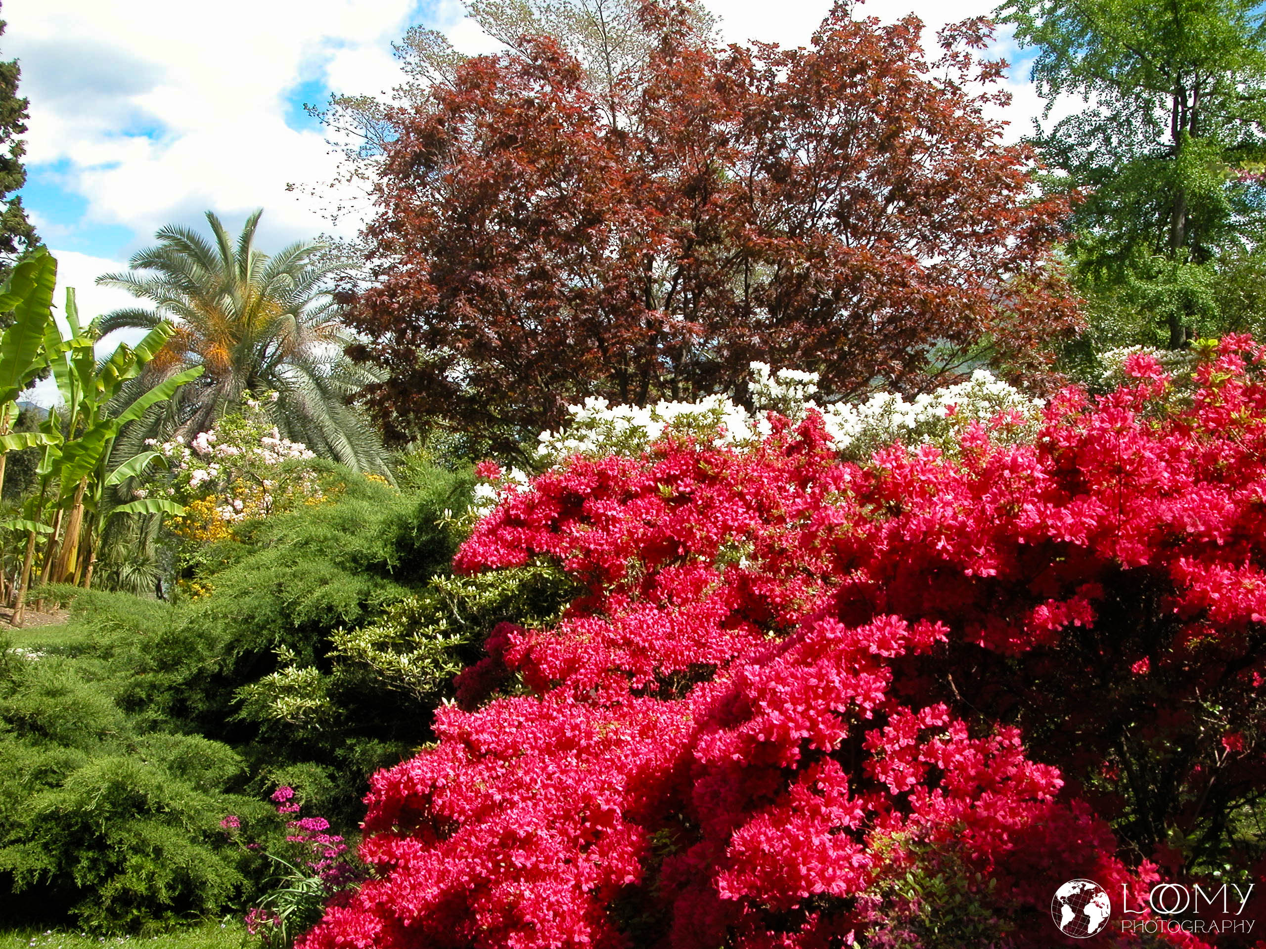 Botanischer Garten