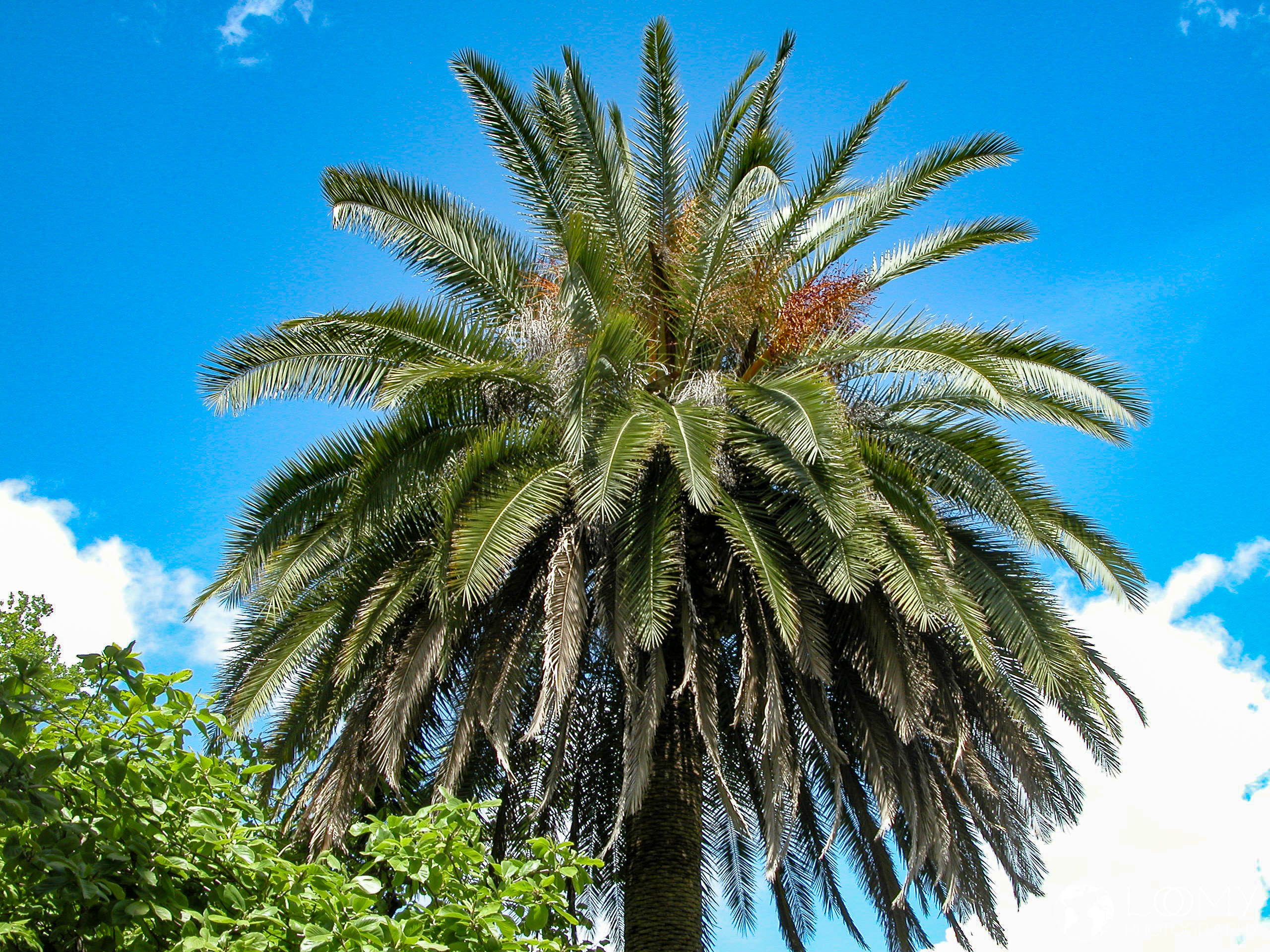 Botanischer Garten