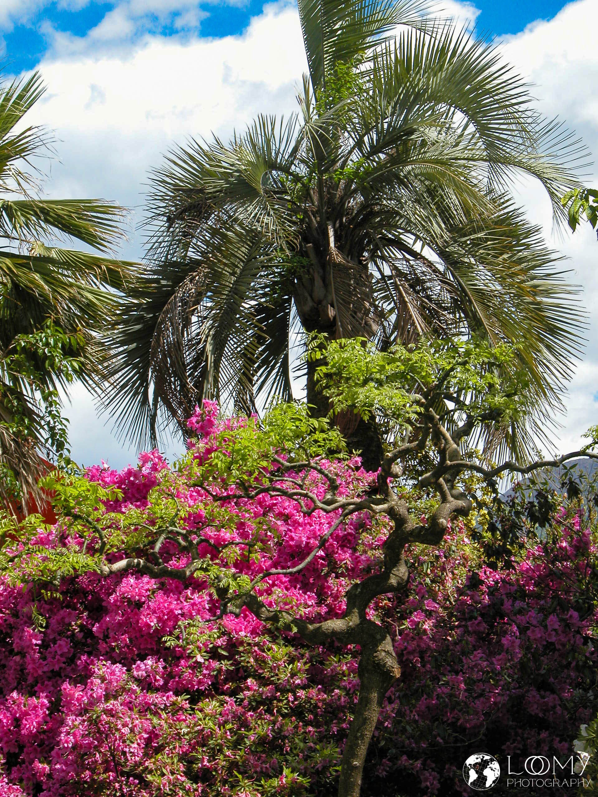 Botanischer Garten