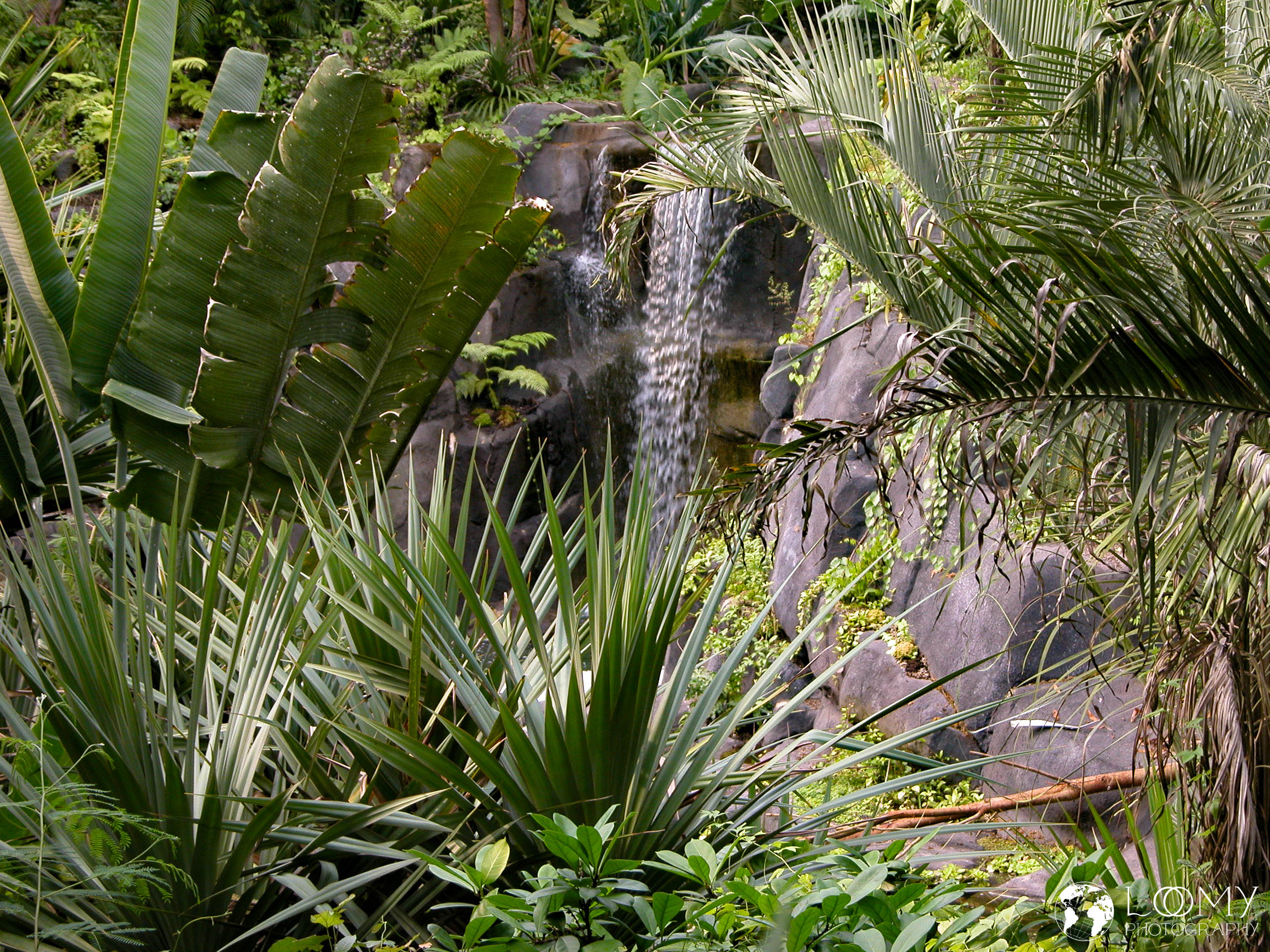 Wasserfall im Dschungel