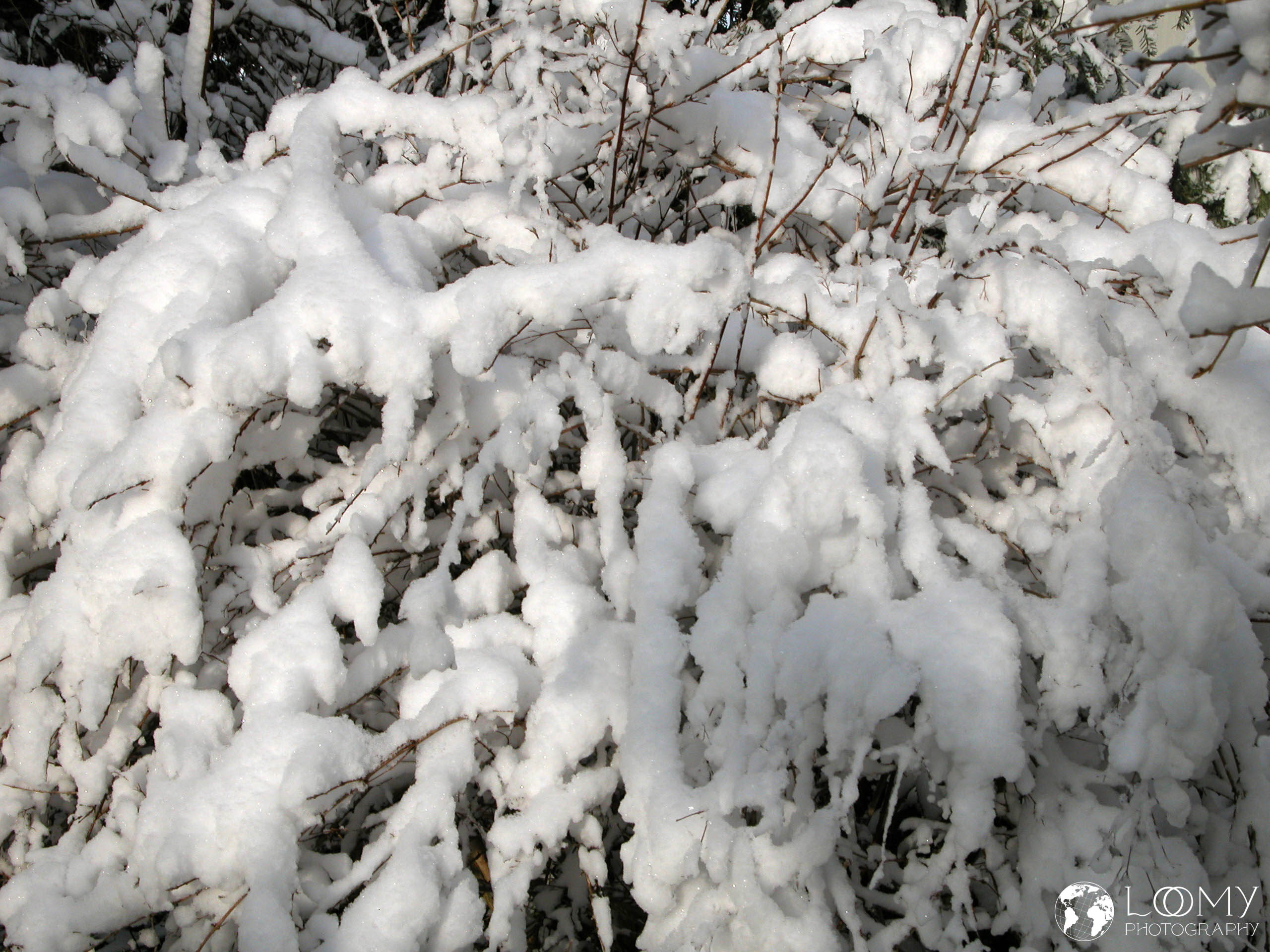 Winterlandschaft