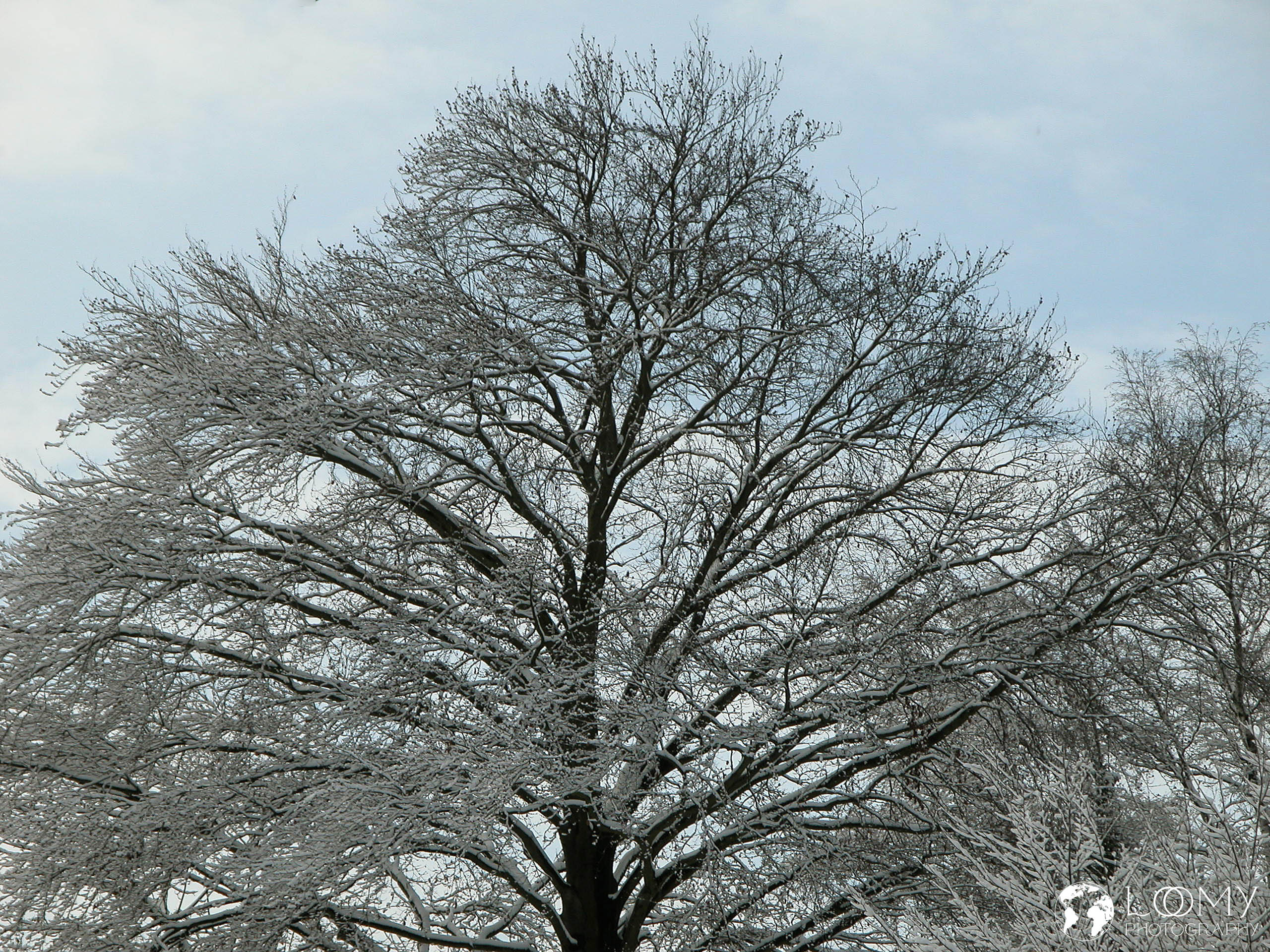 Winterlandschaft
