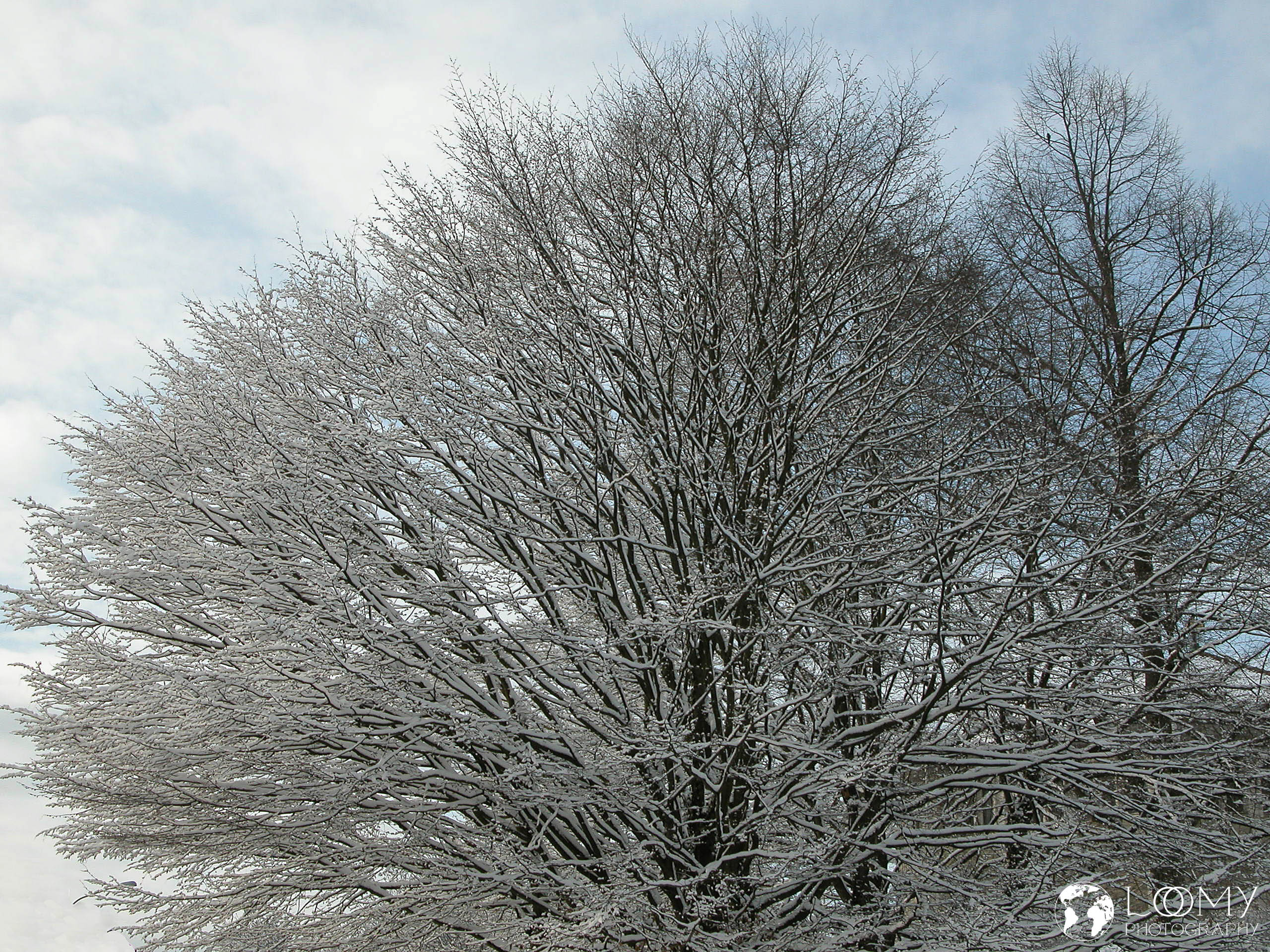 Winterlandschaft