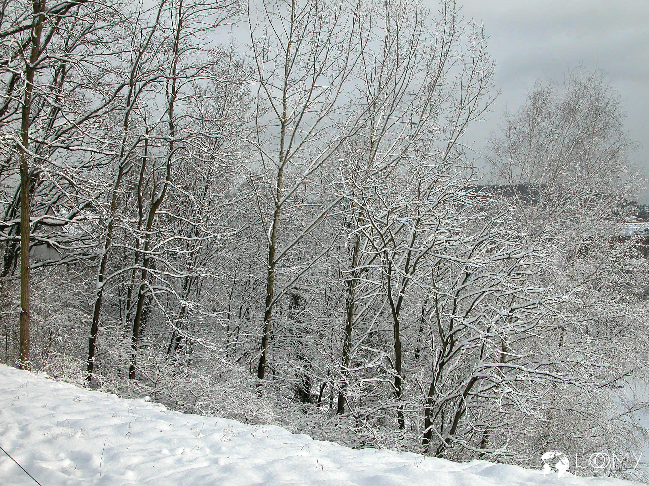 Winterlandschaft