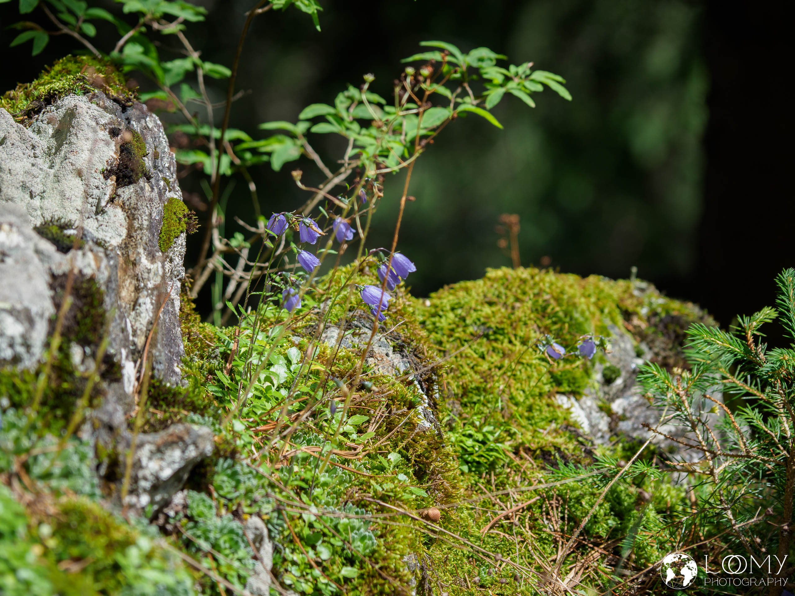 Krimmler Wasserfälle