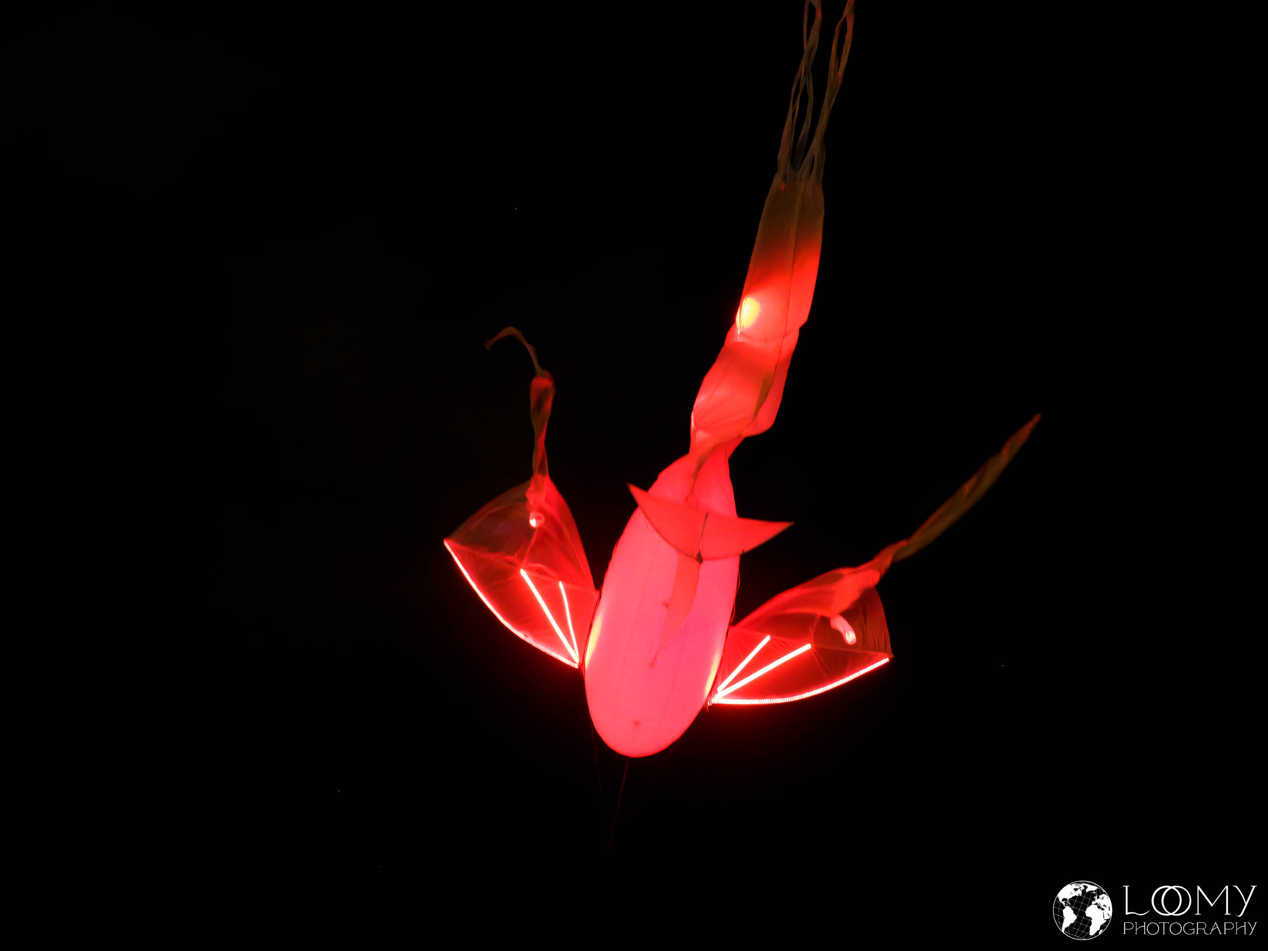 Les Luminéoles