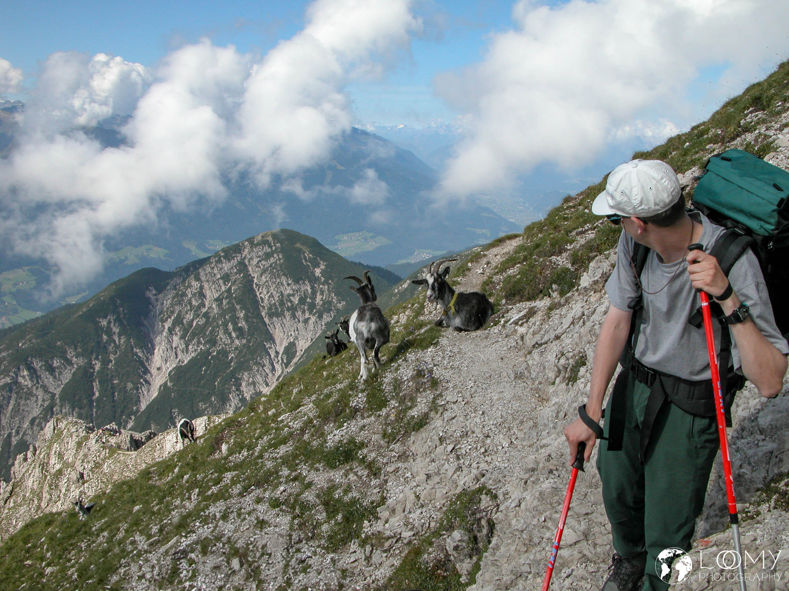 Jürgen blickt auf die Ziegen zurück