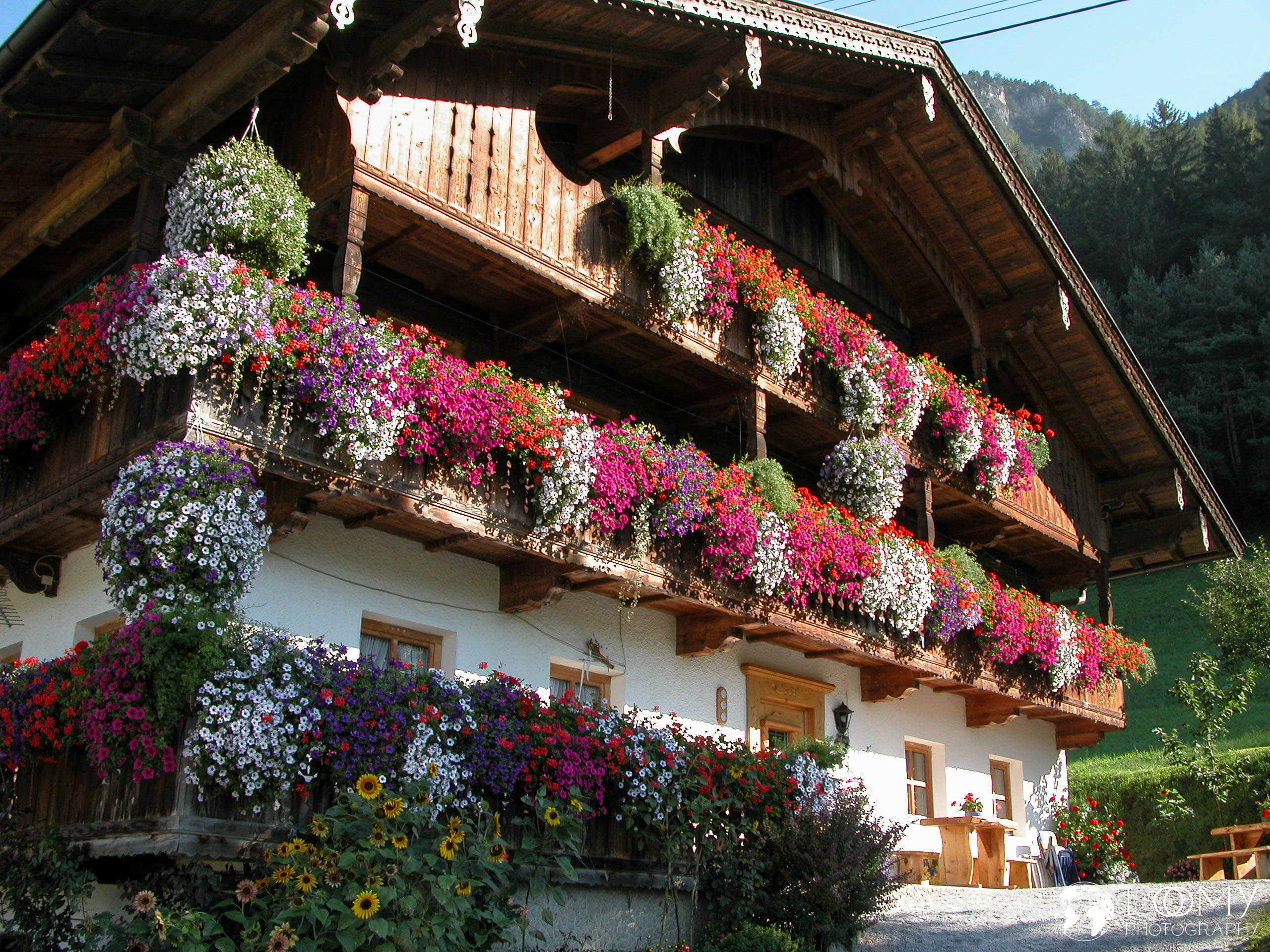 Zillergruggerhof mit schönen Blumen