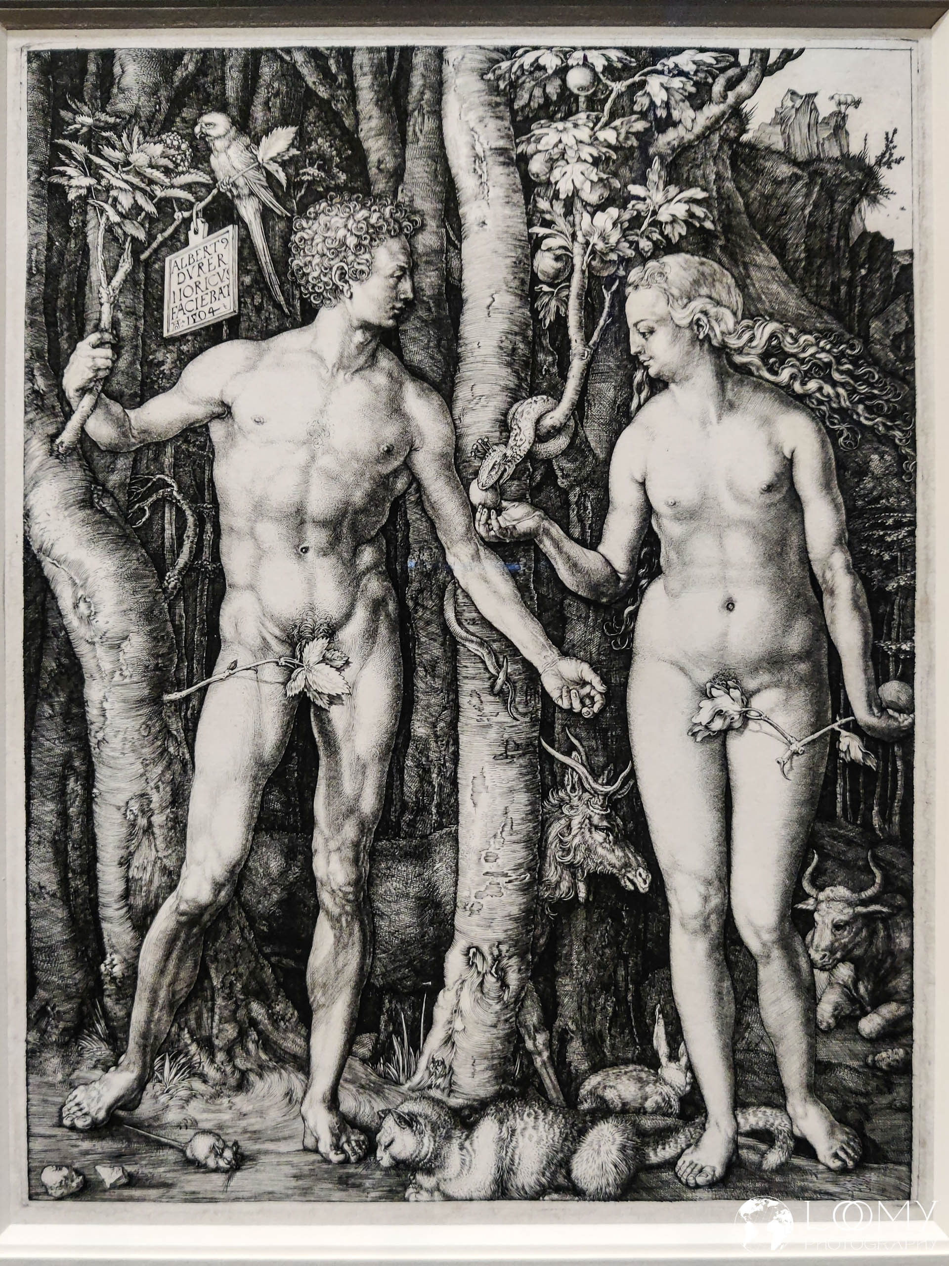 Adam und Eva, 1504