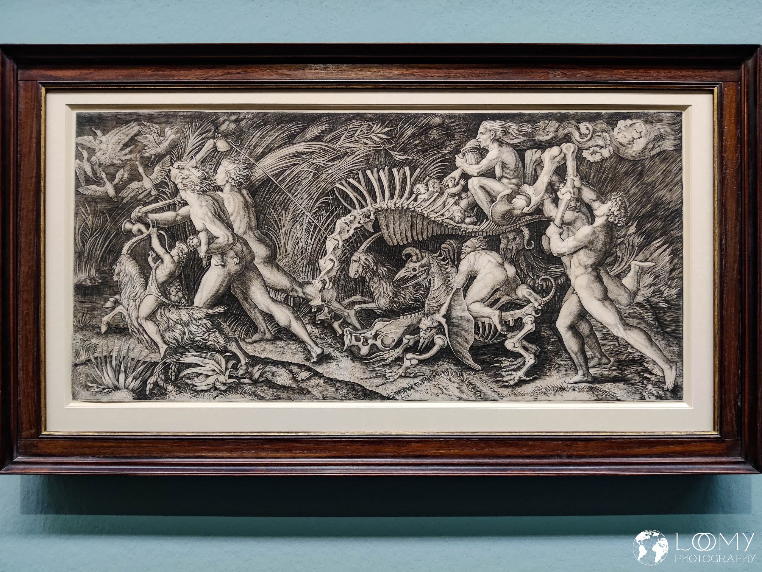 Die Karkasse, 1510-1536