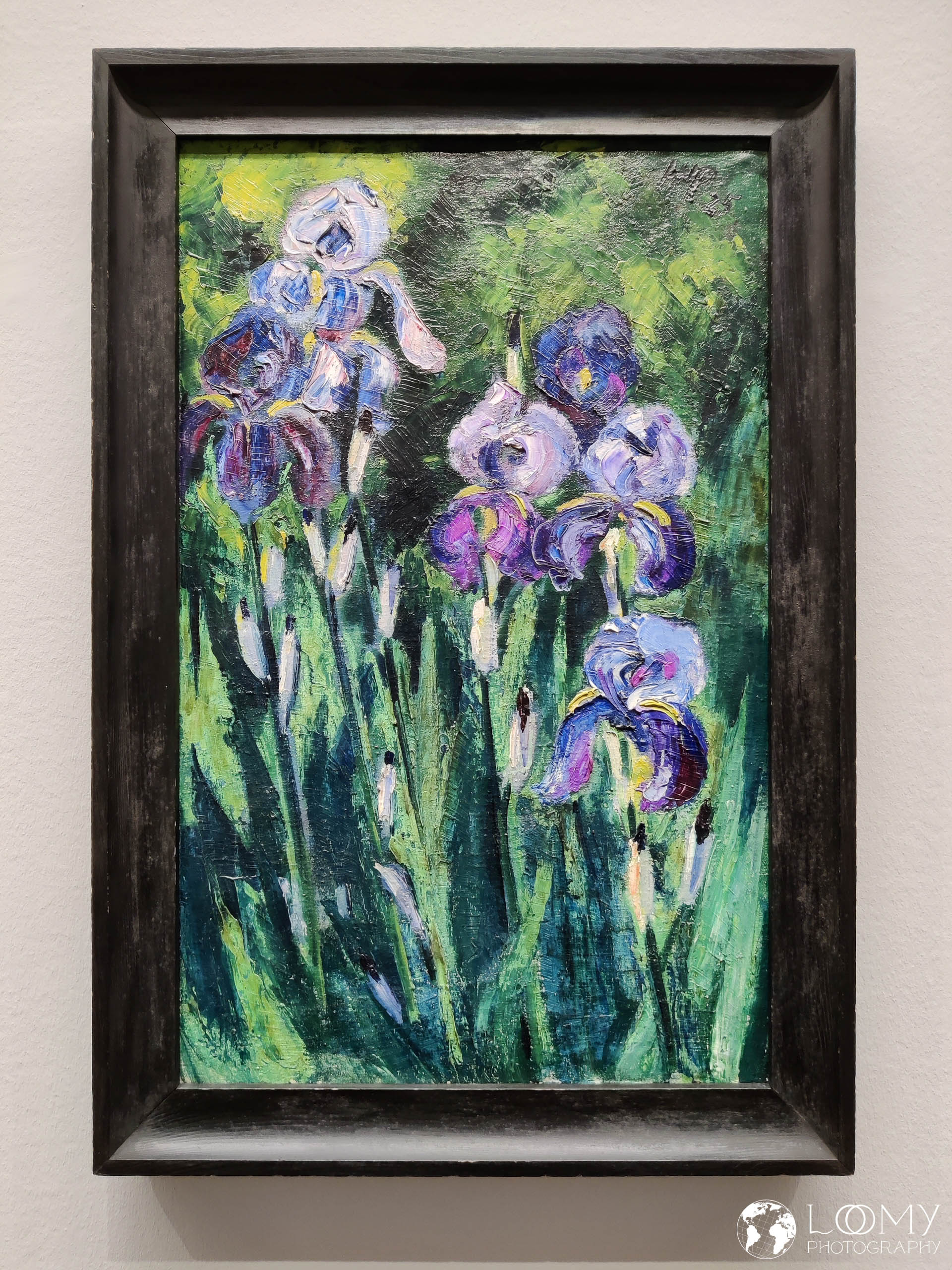 Iris im Abendschatten, 1925