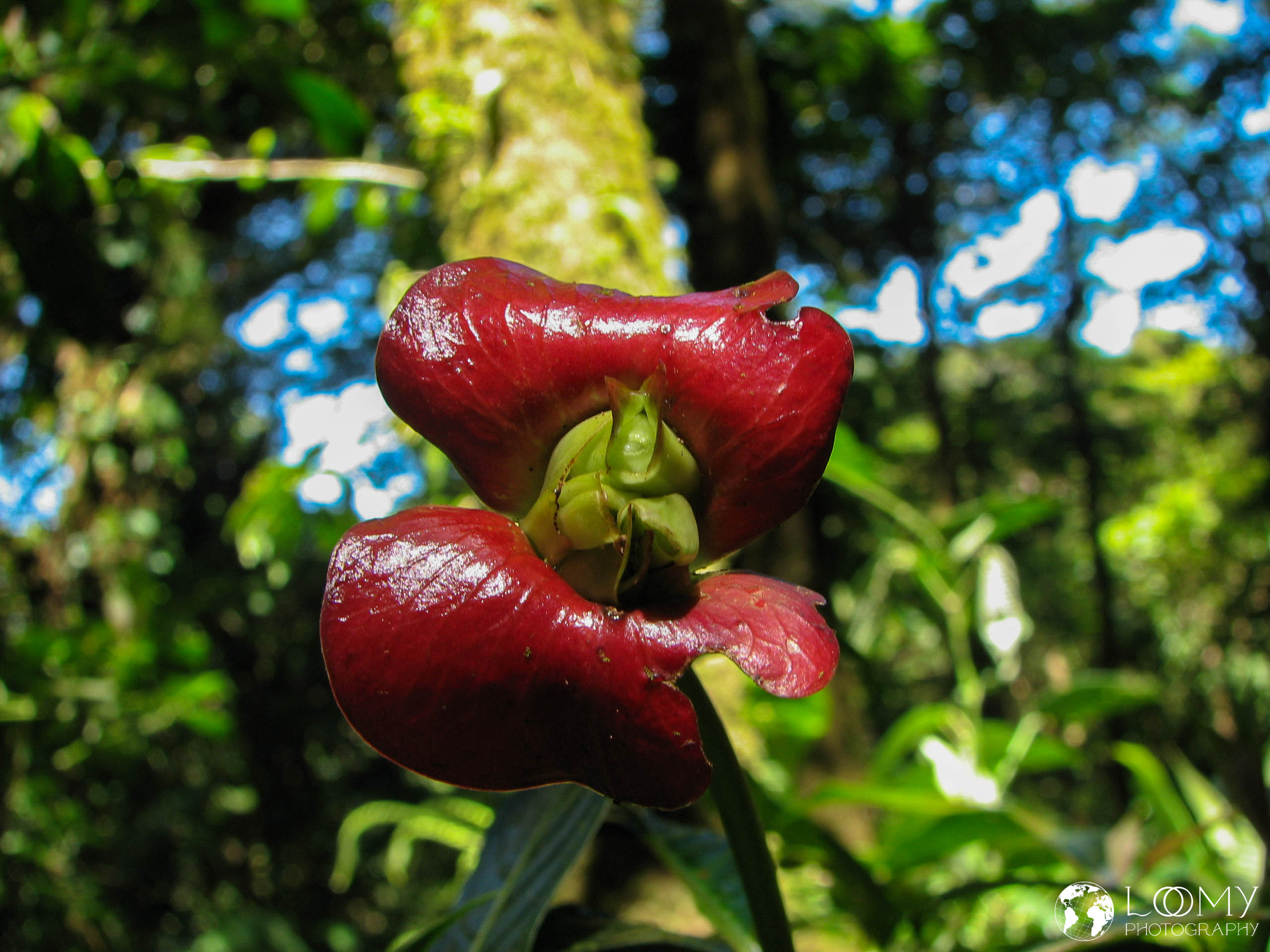 Hot lips
