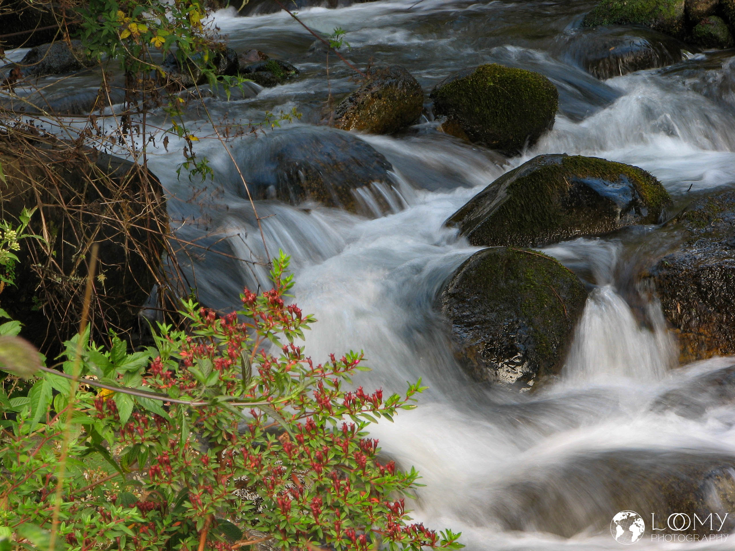 Río Savegre