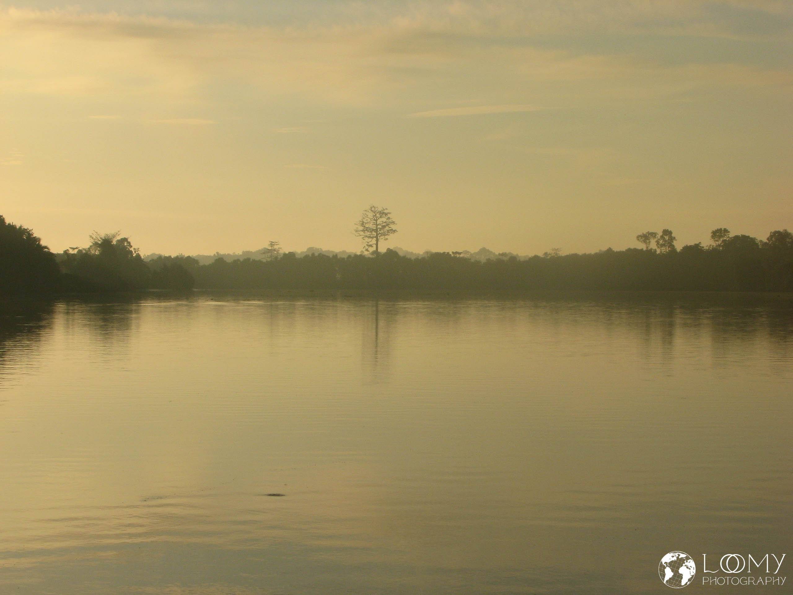 Morgenstimmung am Kinabatangan