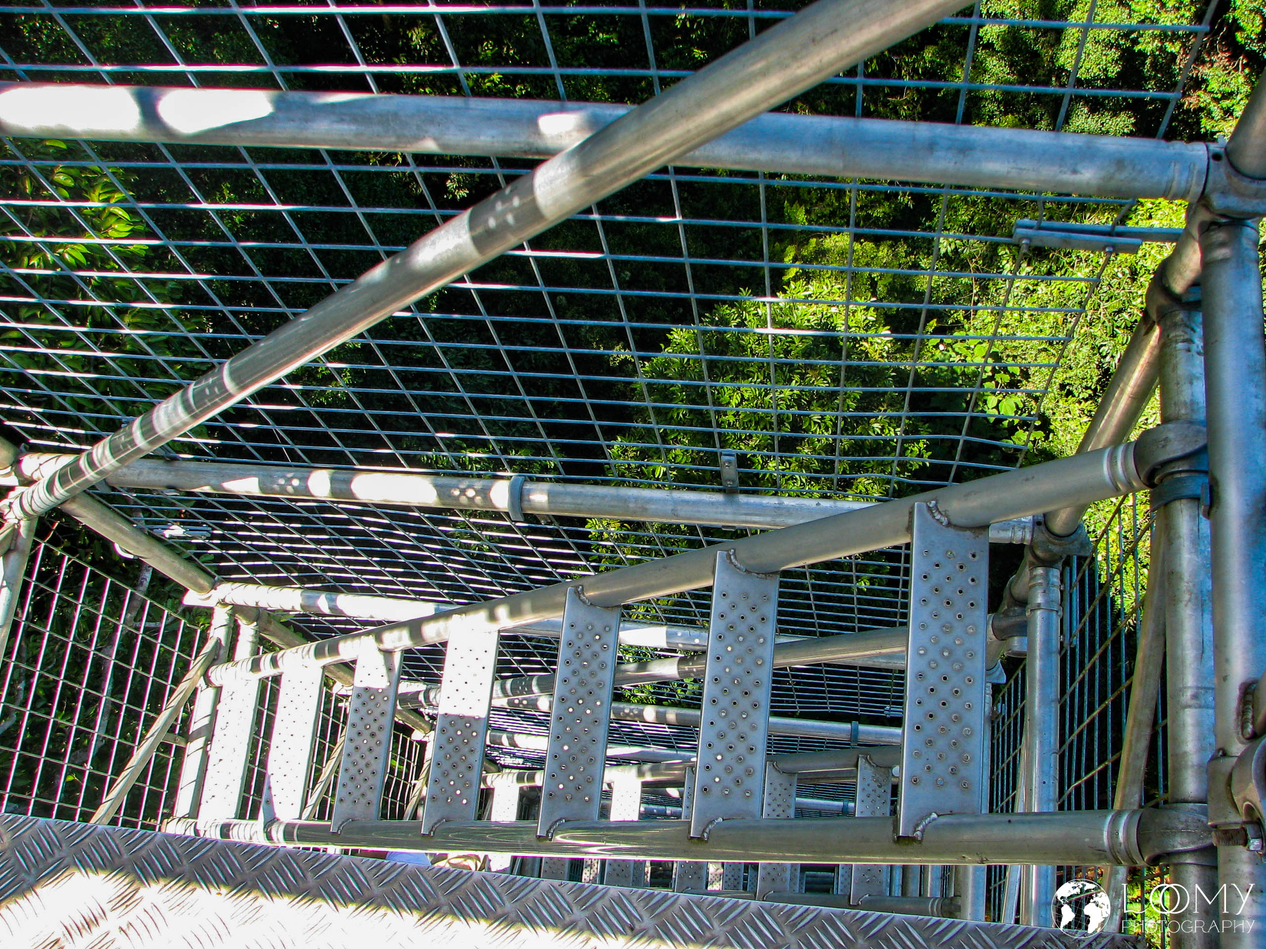 Canopy Walk