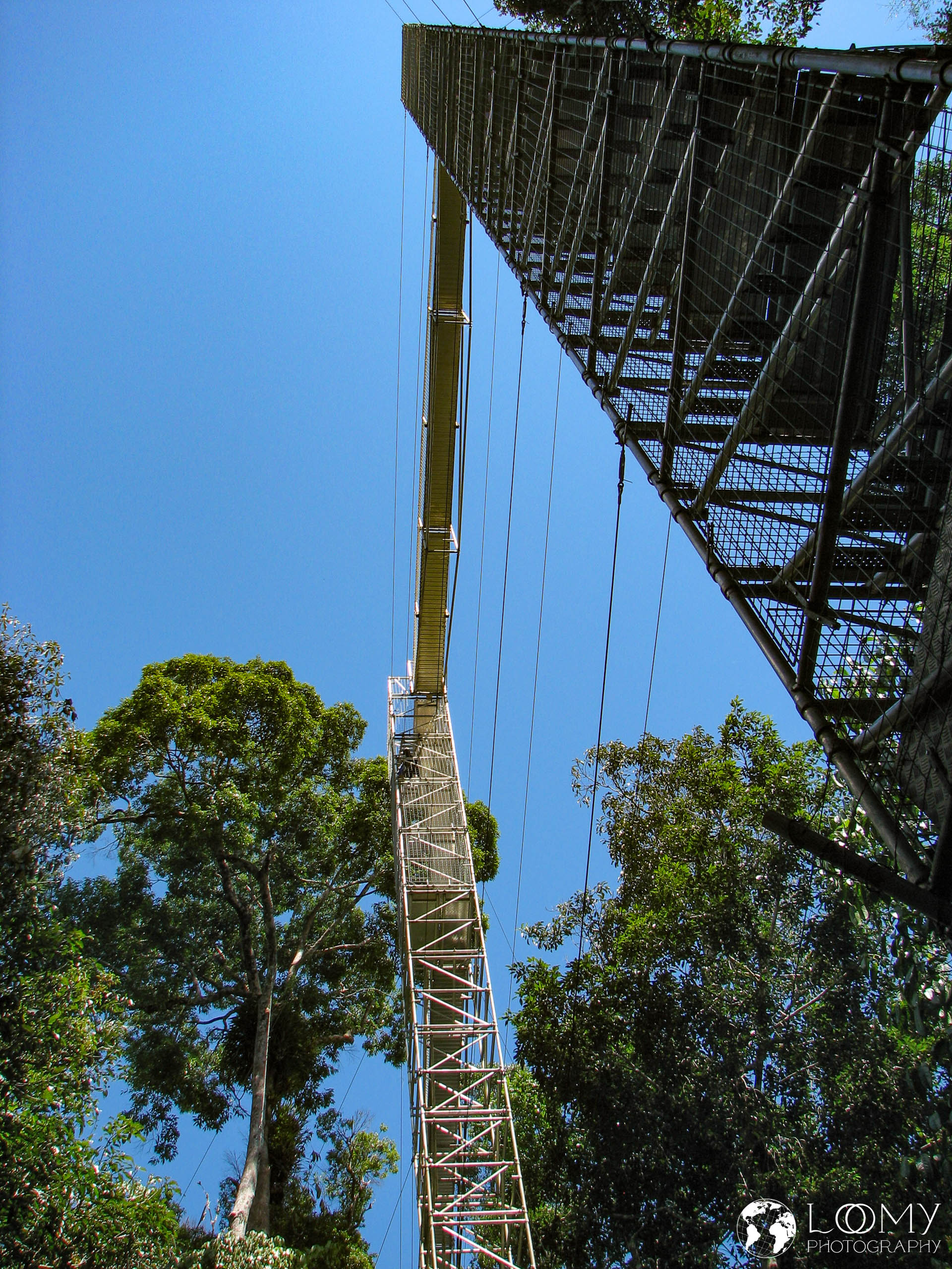 Canopy Walk