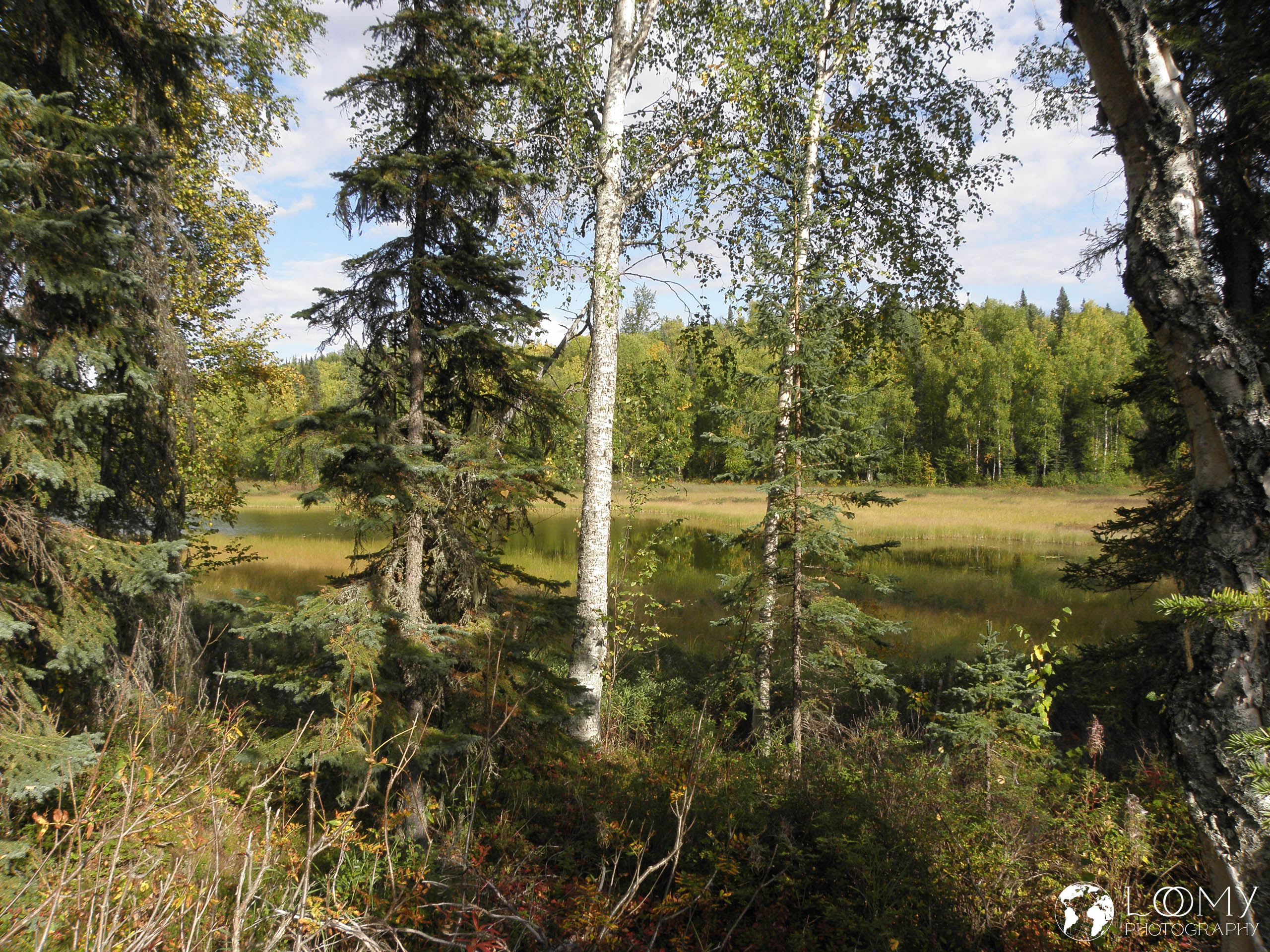 X3 0060 P9060224 -  
