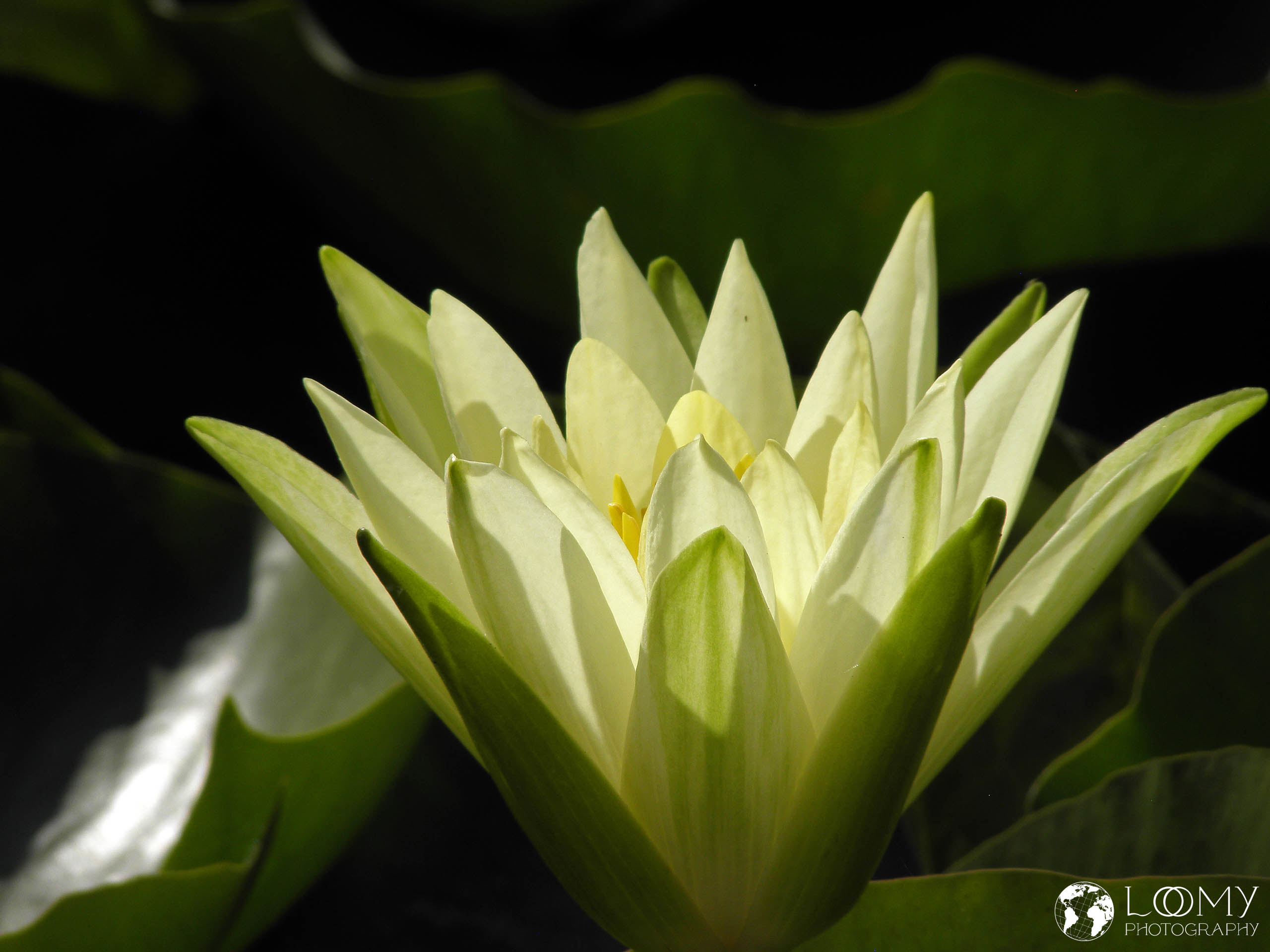 X3 0056 PB271530 edited 1 -  