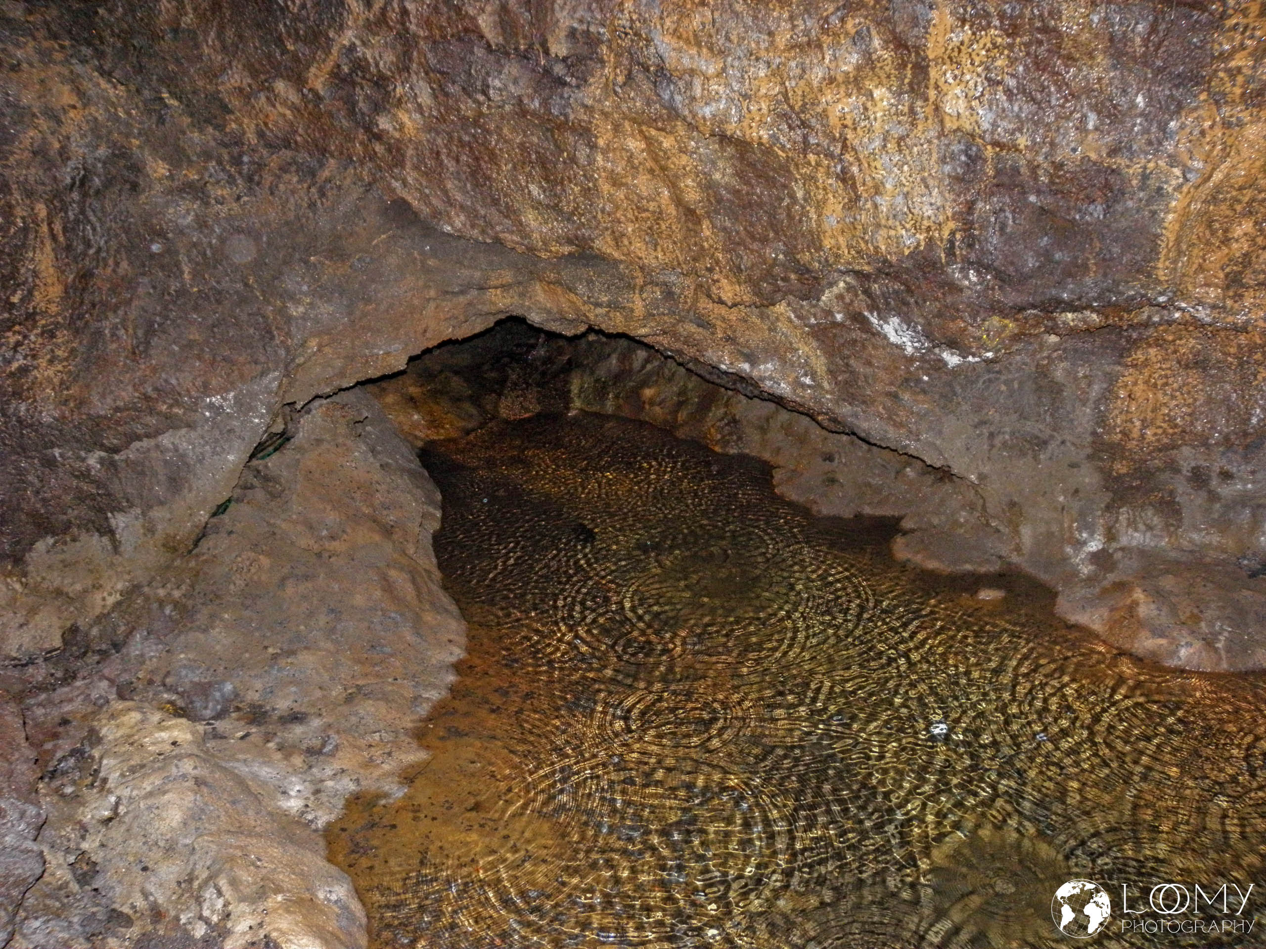 X3 0047 P5190896 edited 1 -  