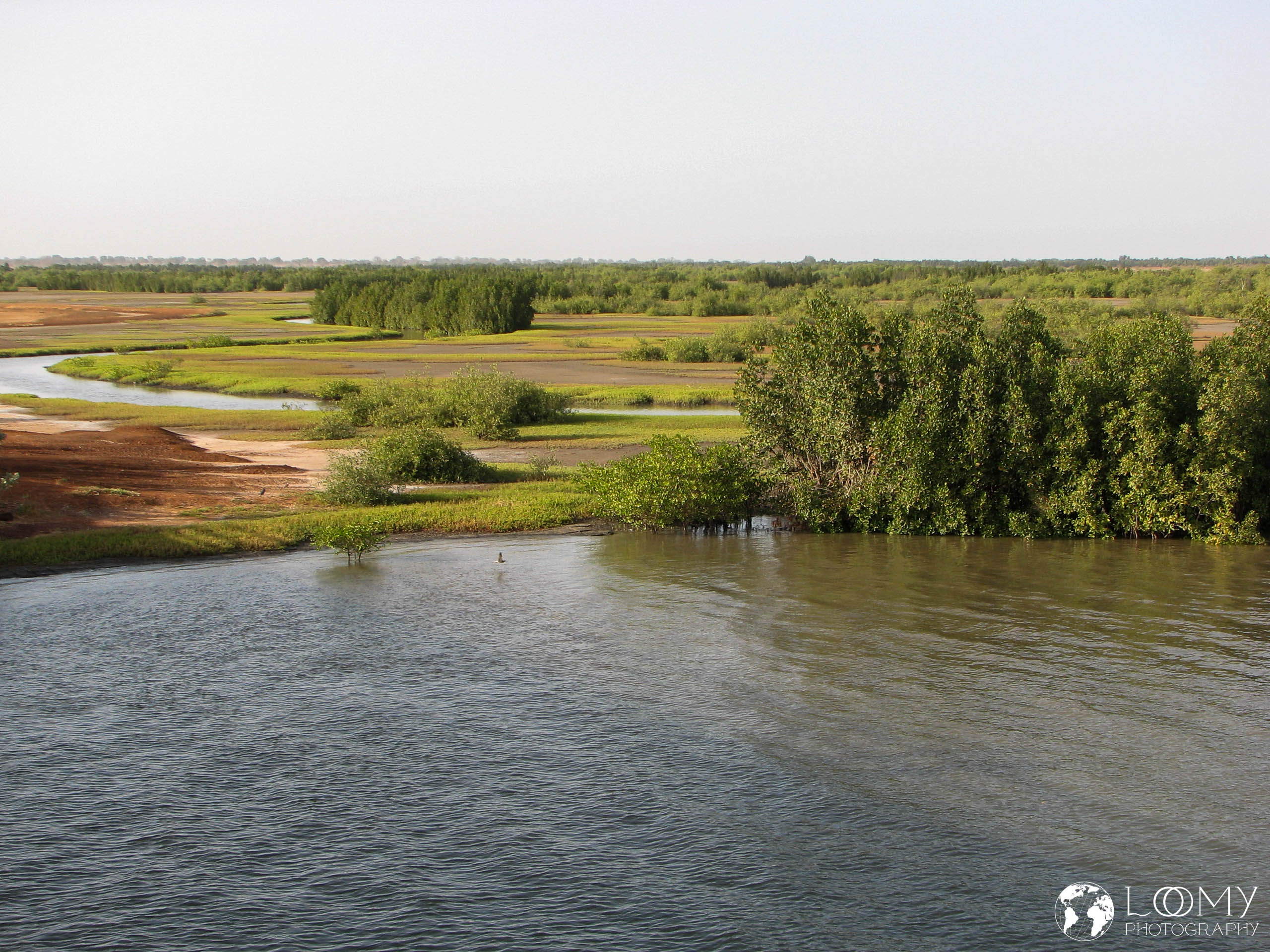 Fruchtbare Ufer des Gambia Flusses