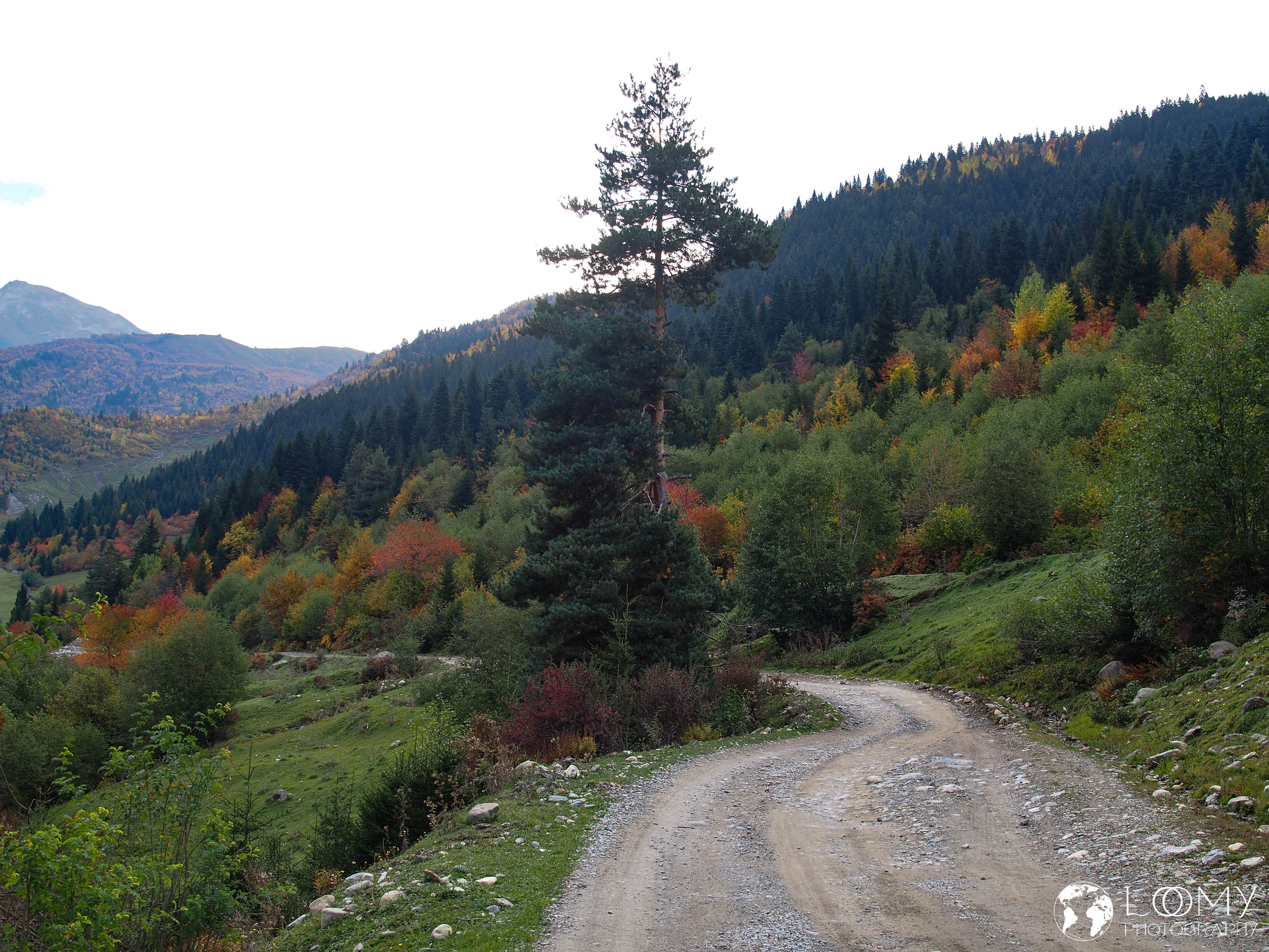 X3 0043 PA081009 -  