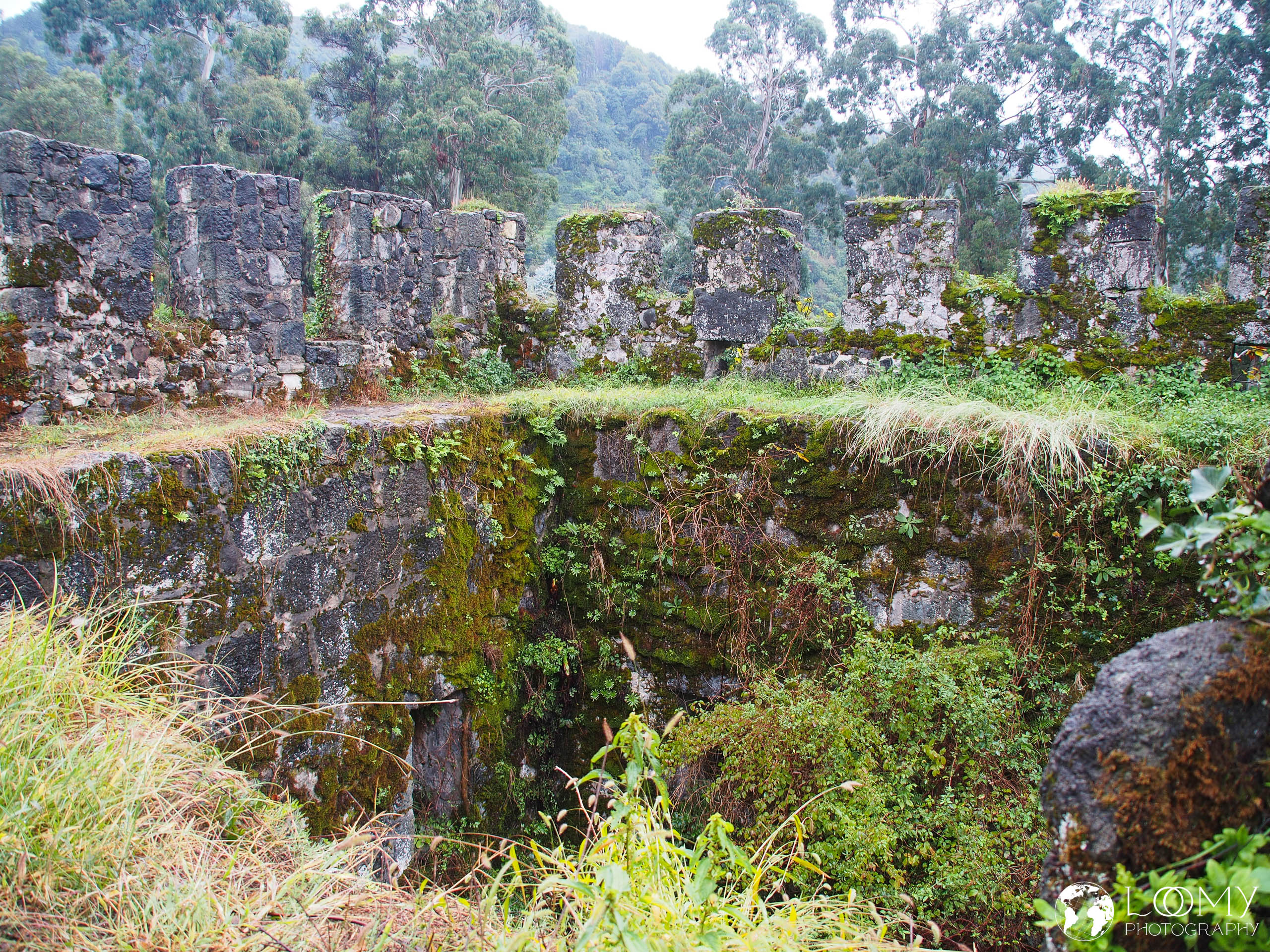 Festung Gonio