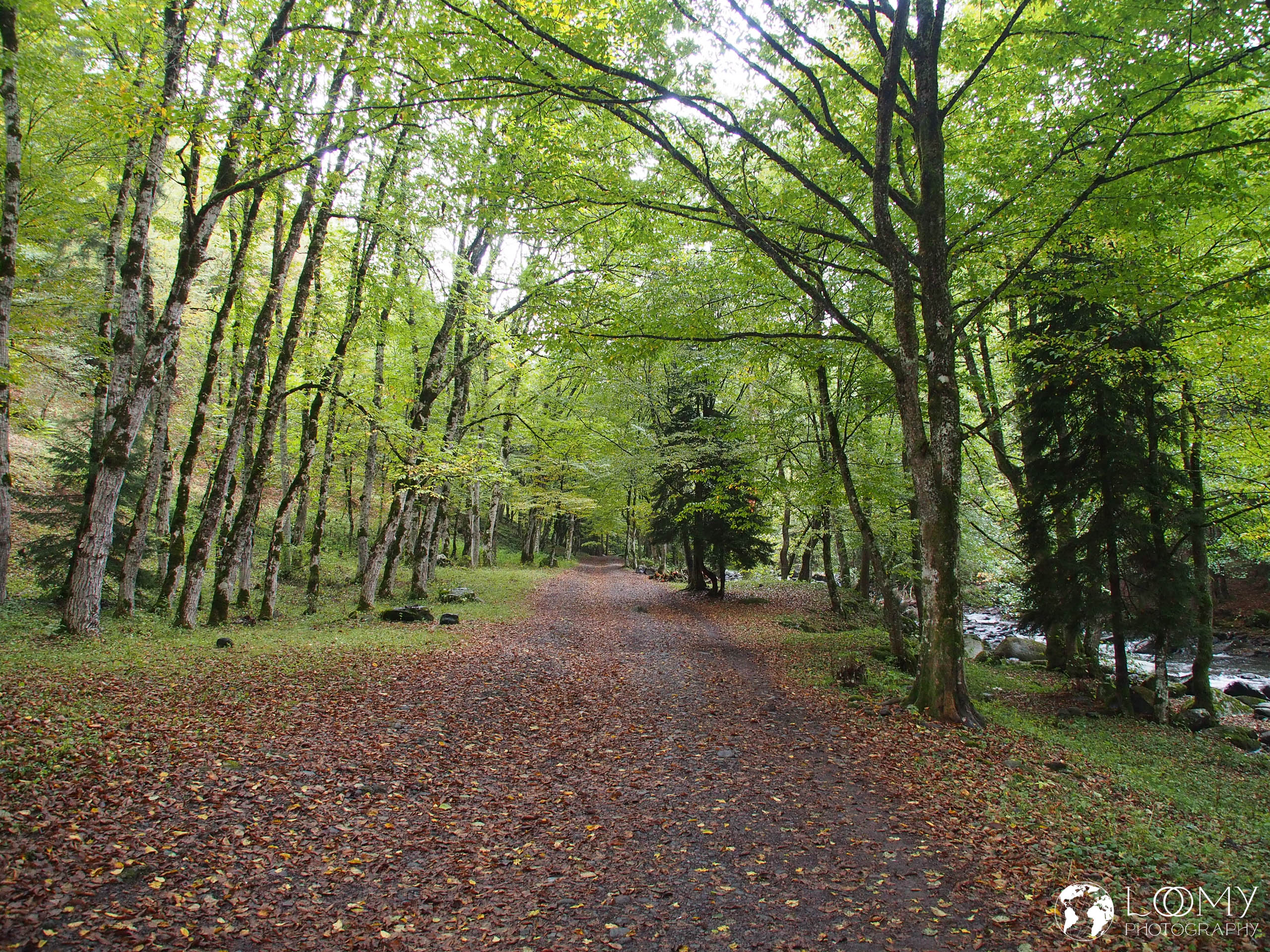 Kurpark