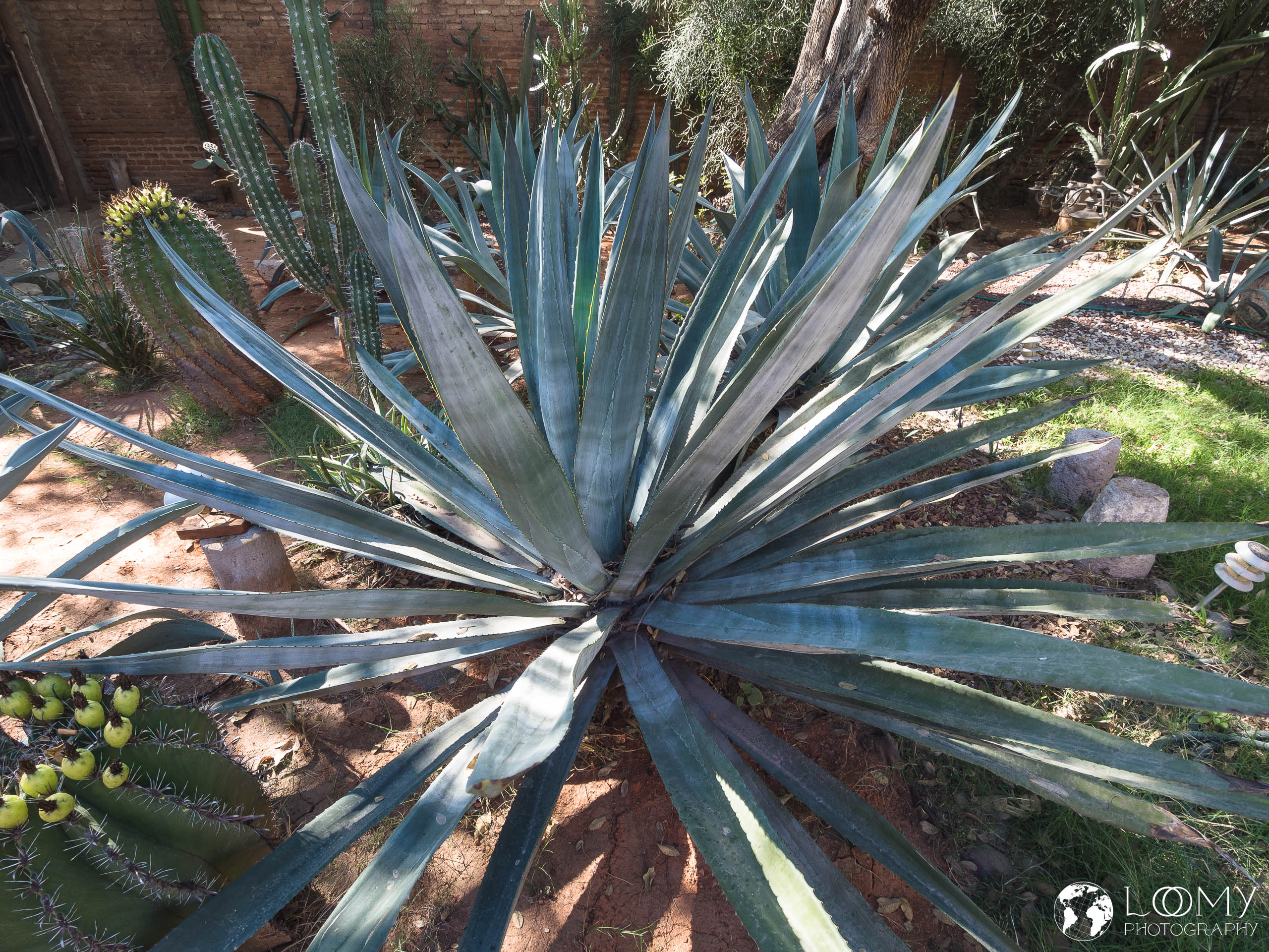 Hotel Torres del Fuerte
