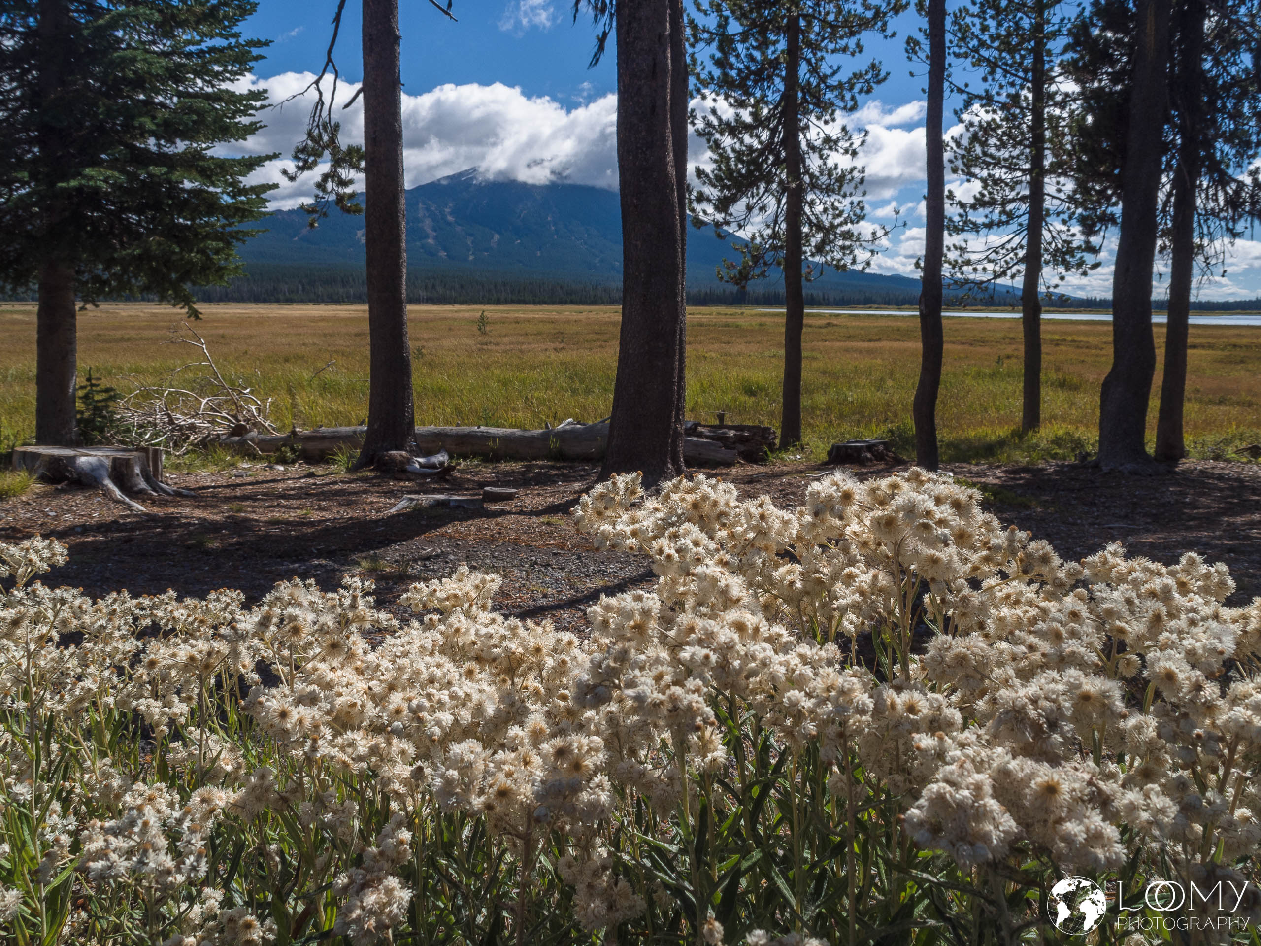 Mt. Bachelor