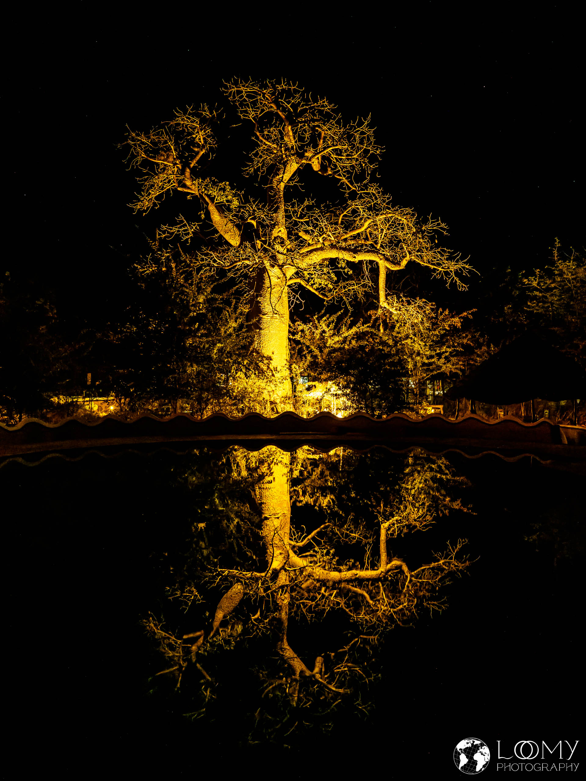 Baobab