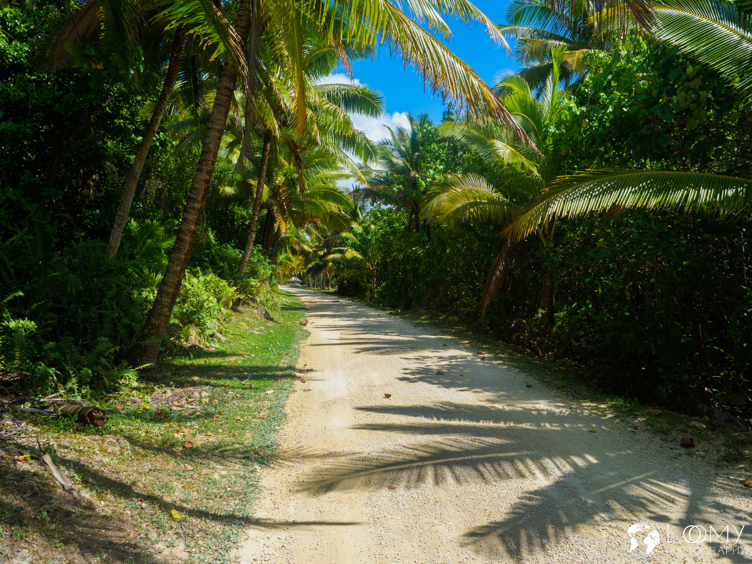 Strassen von Palmen gesäumt