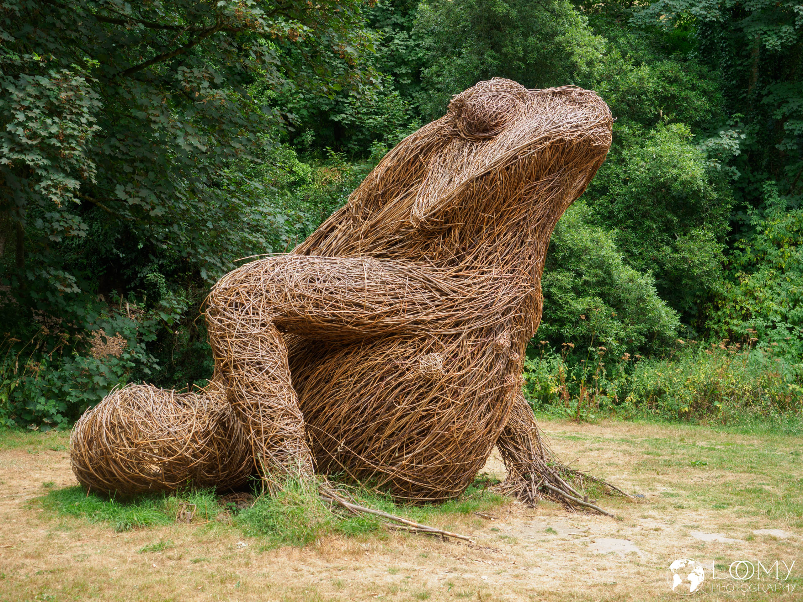 "The lifecycle of the Crapaud"