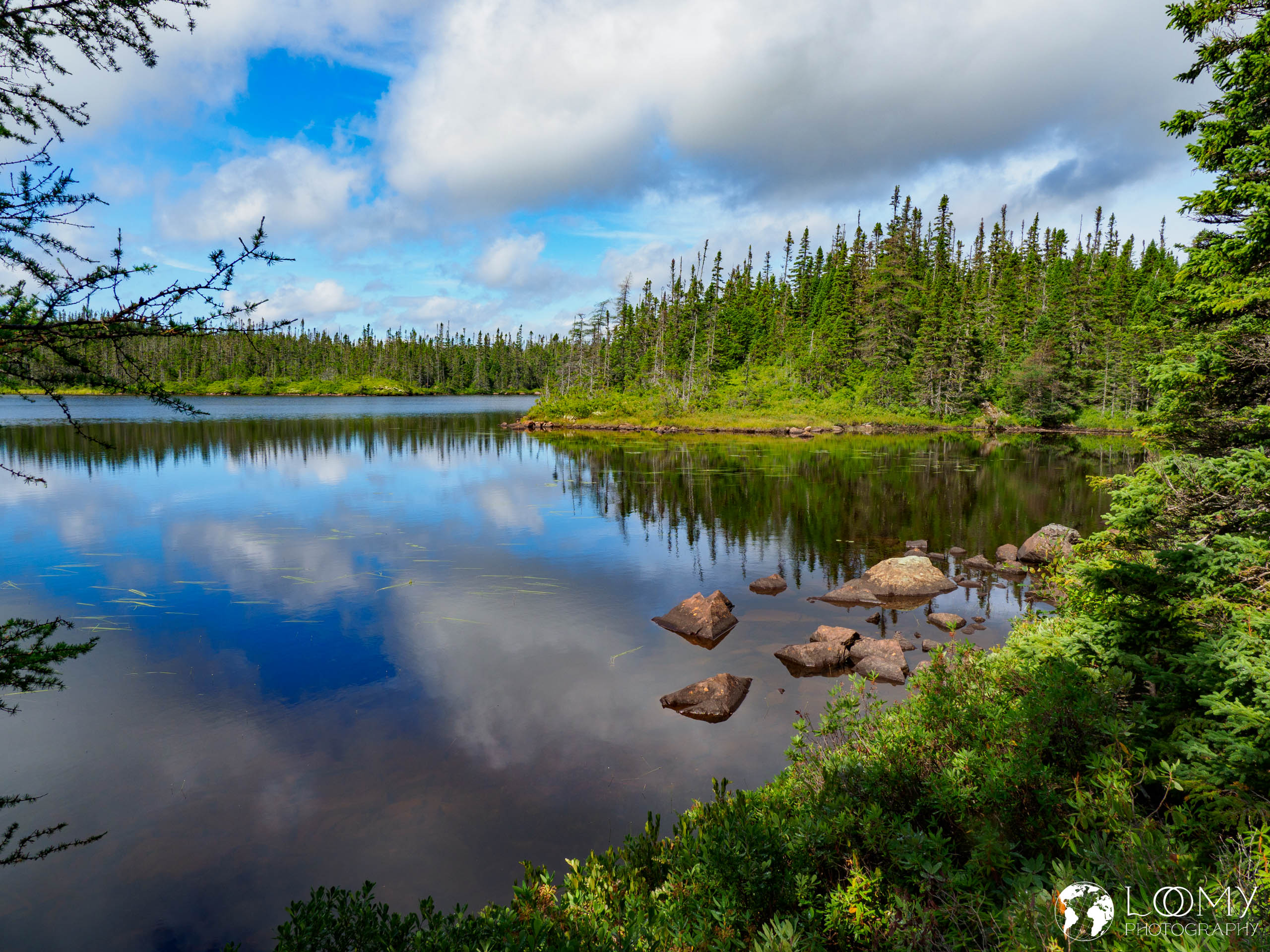 Terra Nova NP