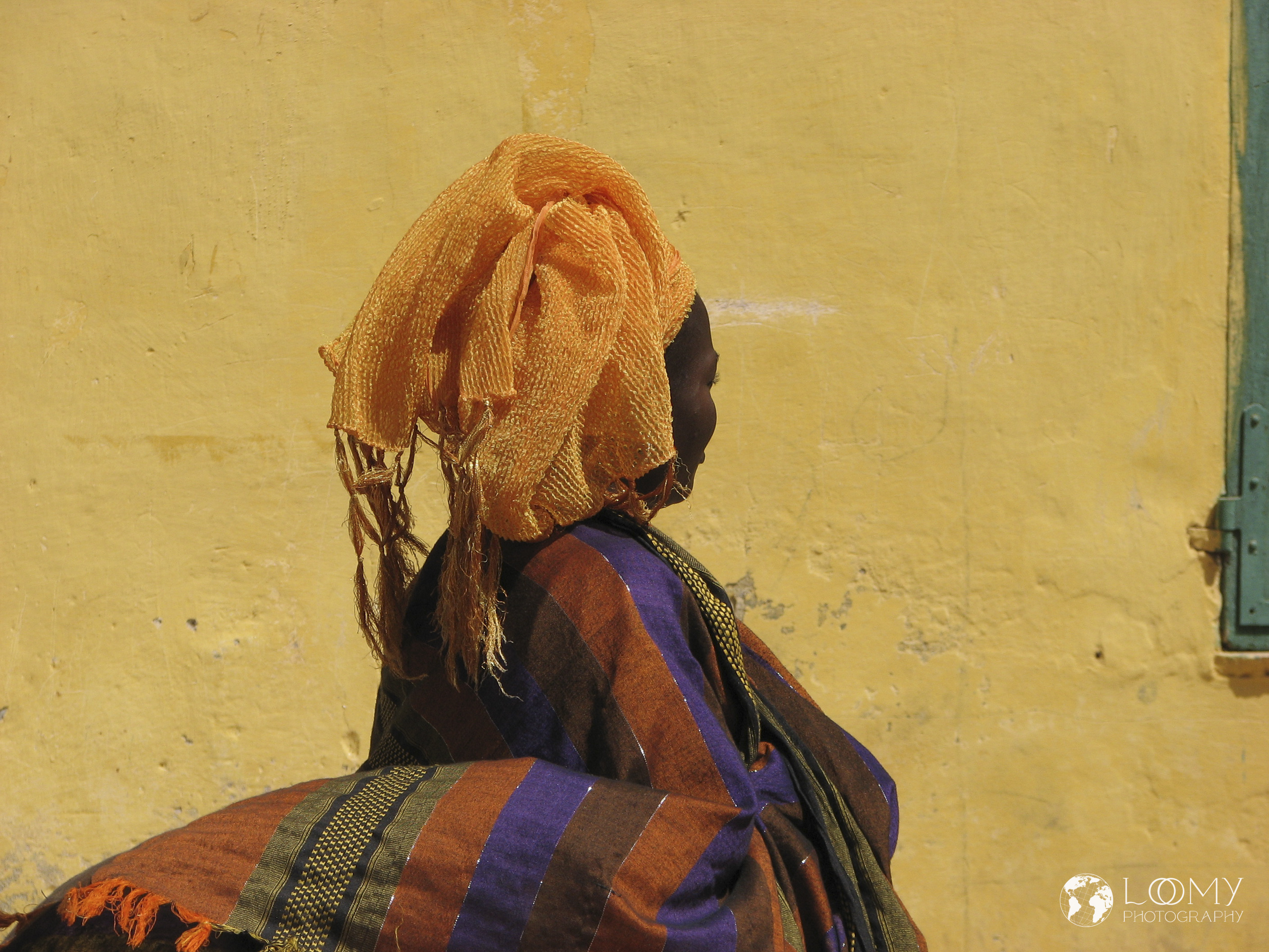 IMG 8201 -  