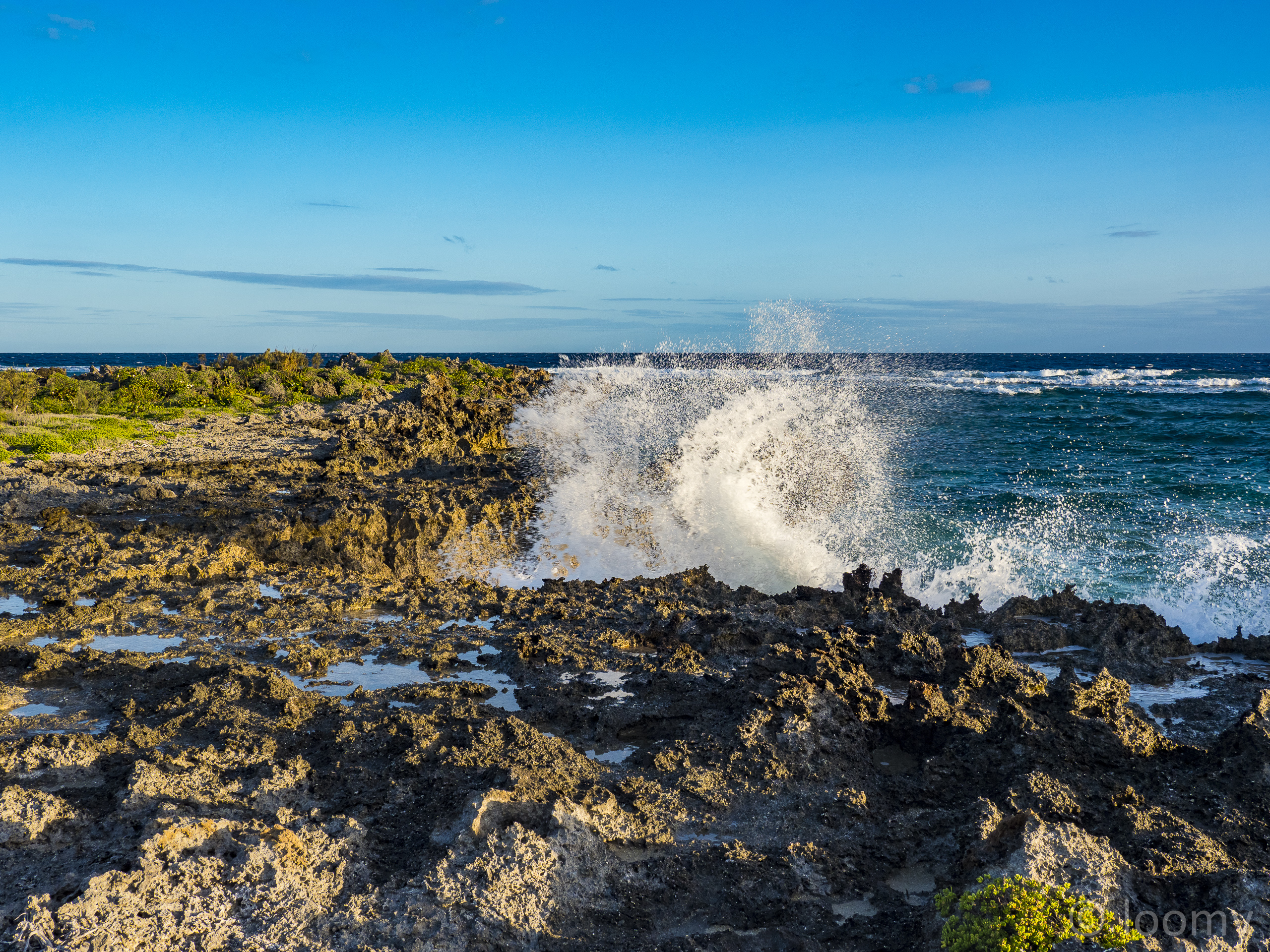 P9278931 -  